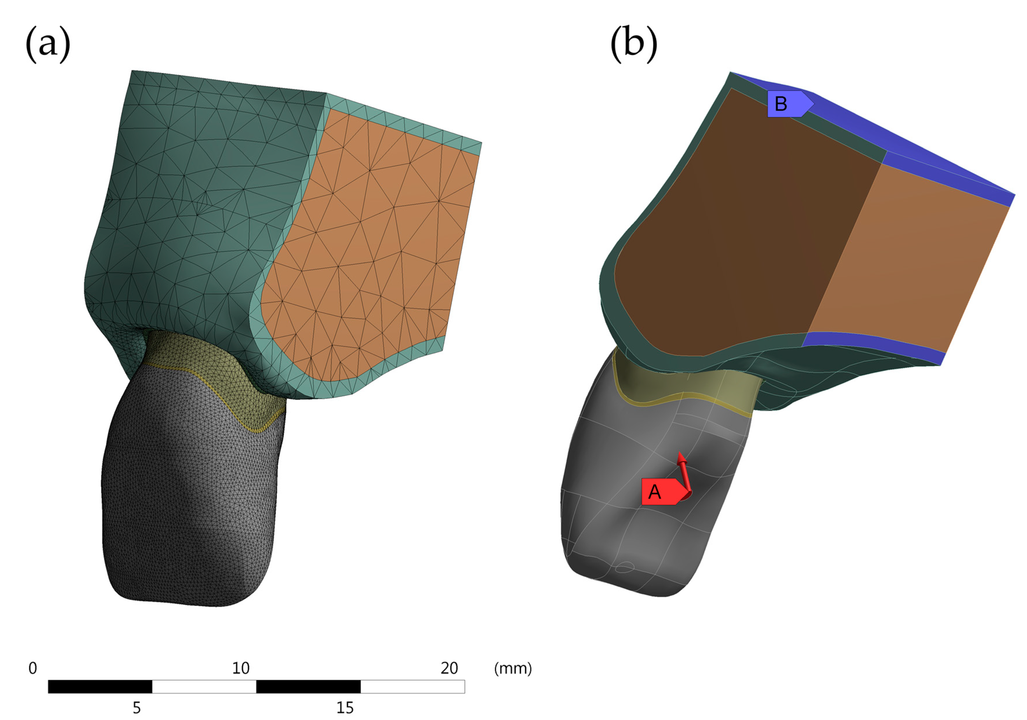 Molecules 26 06113 g002