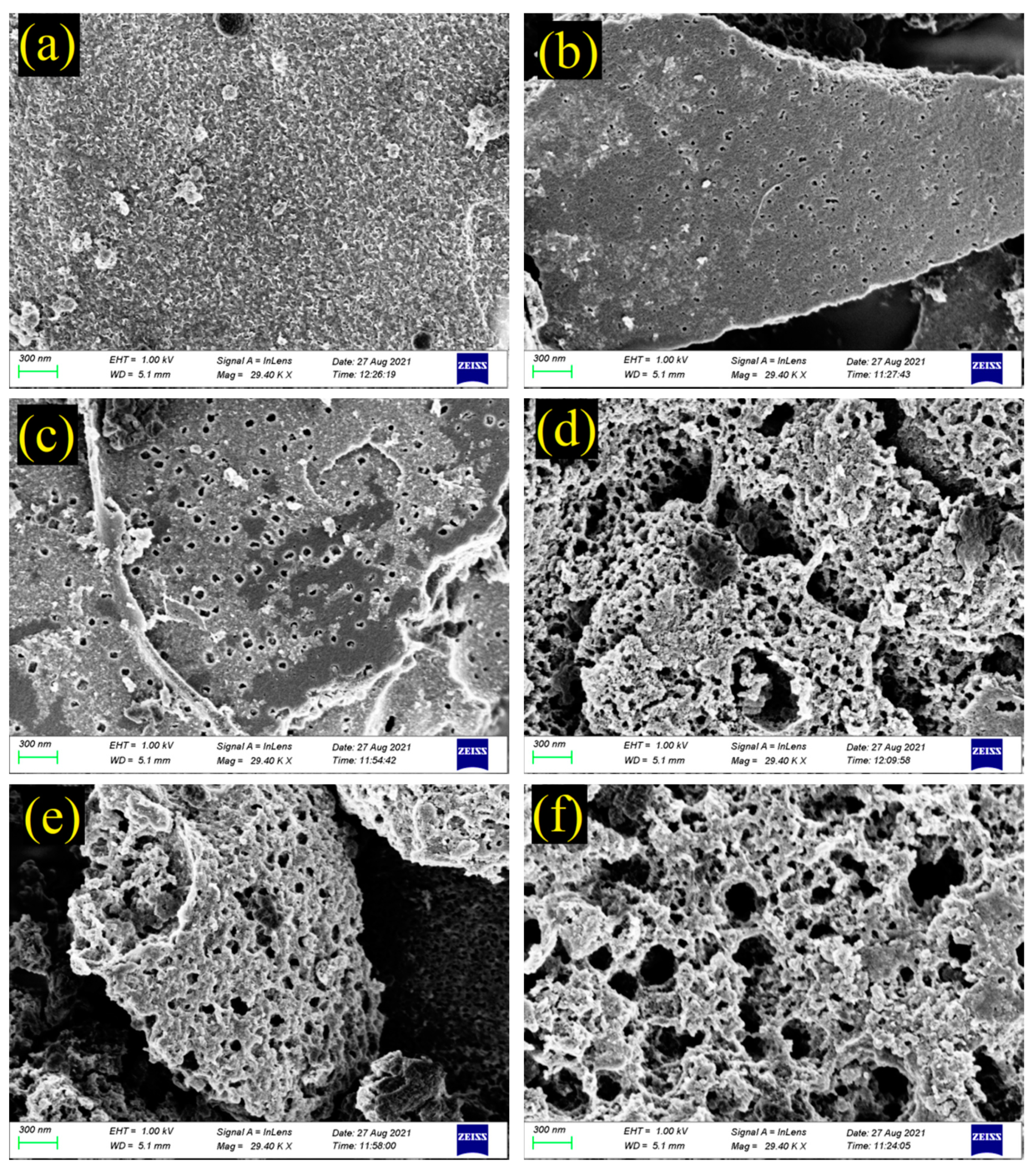 Molecules 26 06116 g003