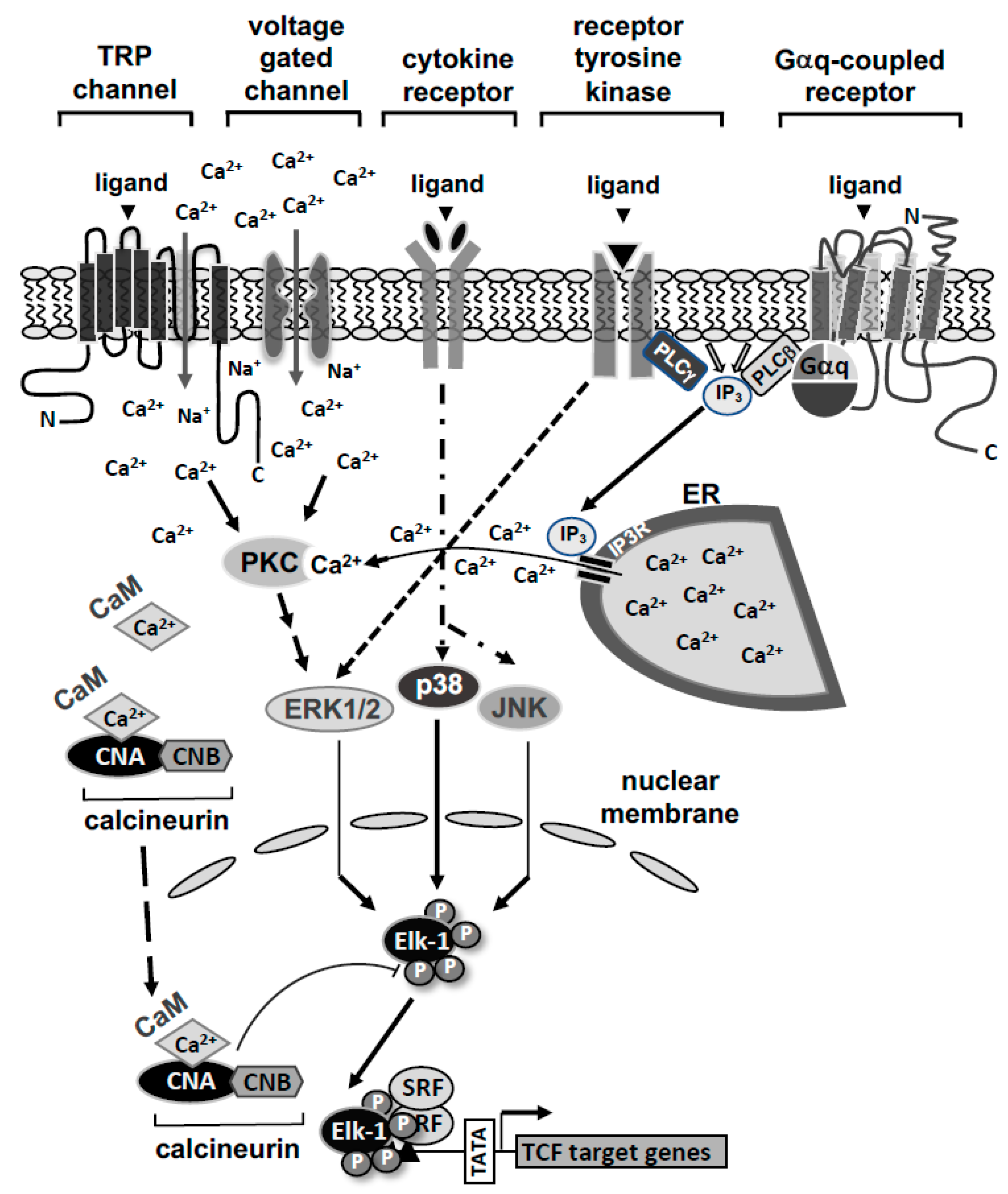 Molecules 26 06125 g002