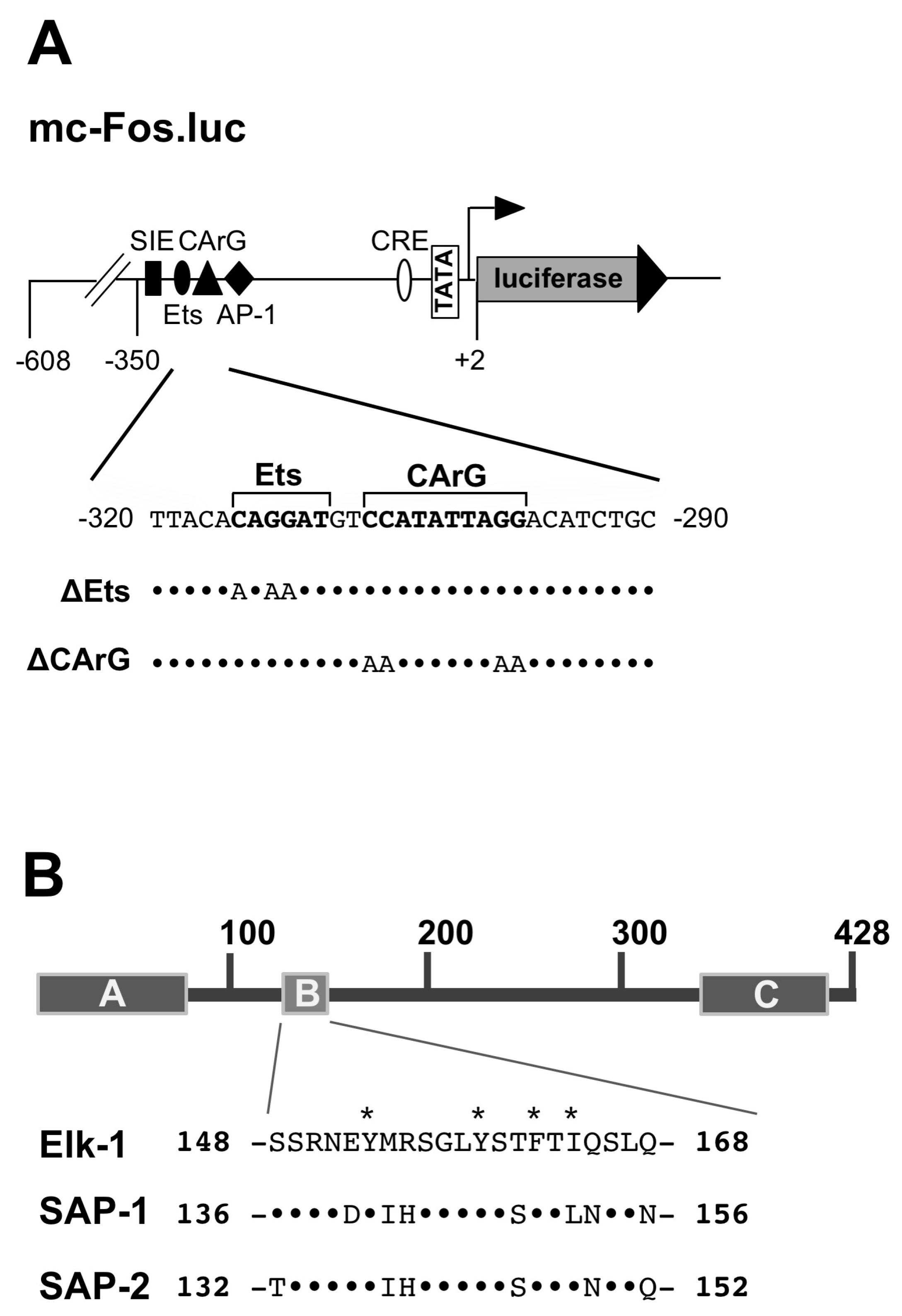 Molecules 26 06125 g005