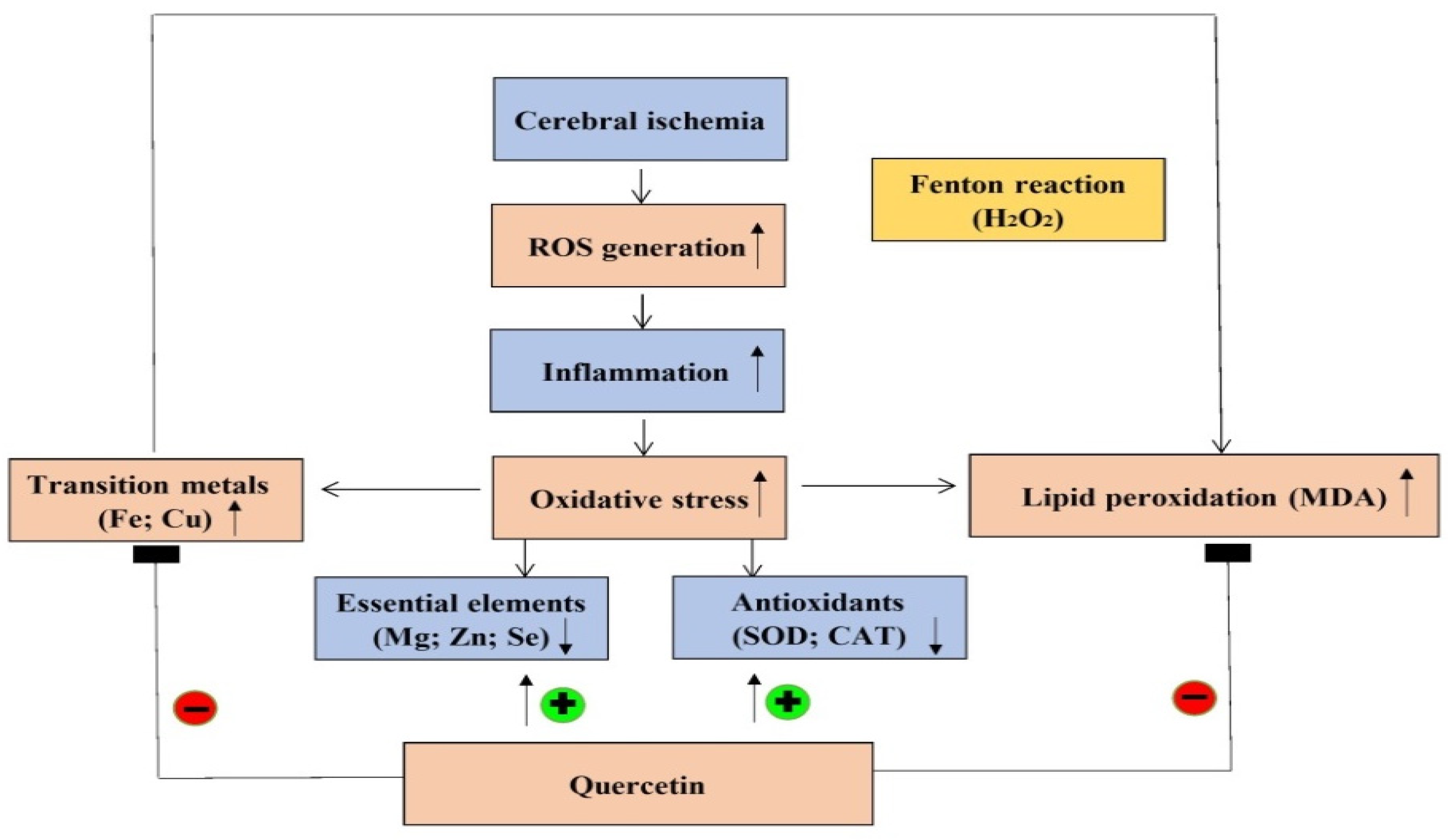 Molecules 26 06128 g010
