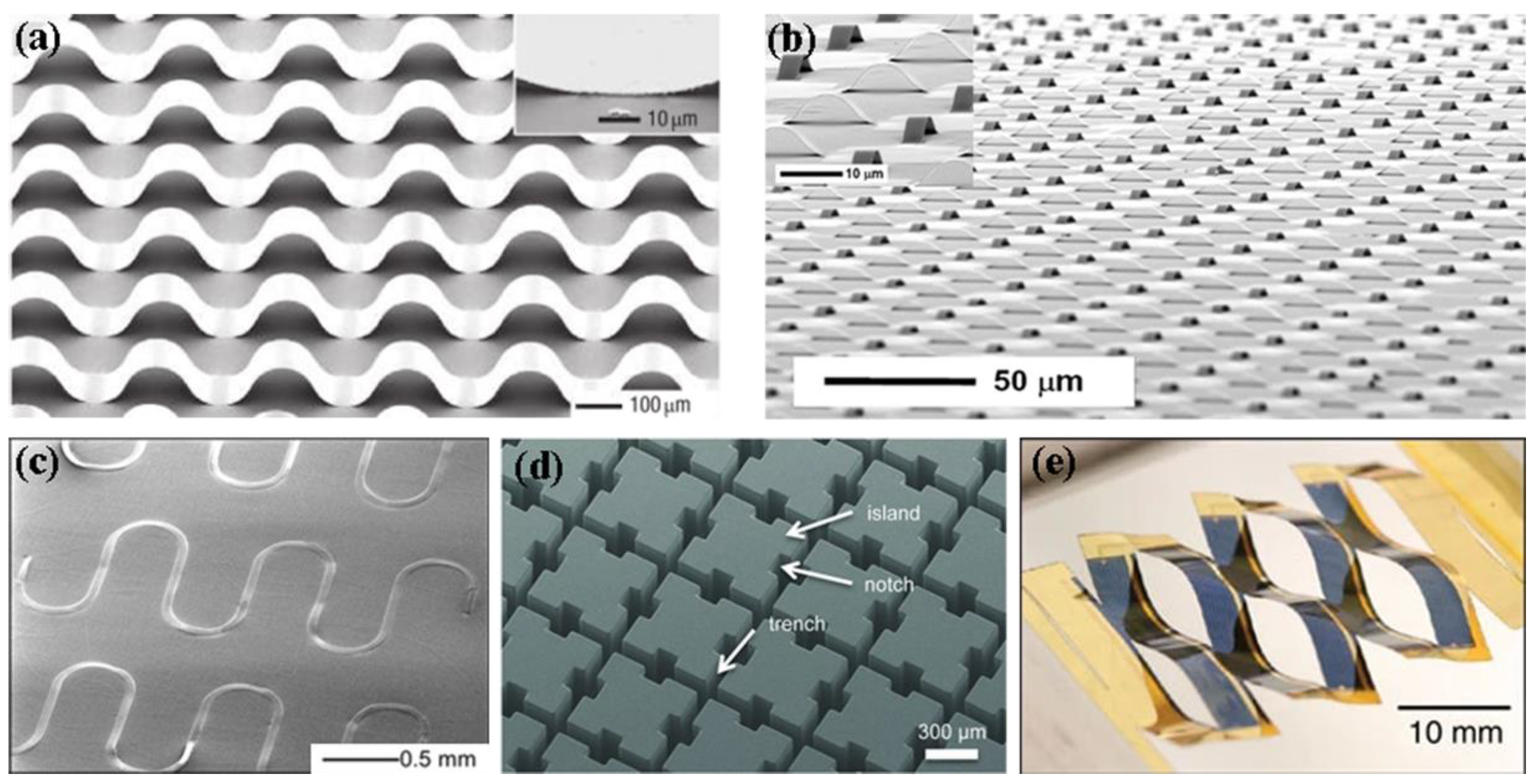Molecules 26 06130 g001