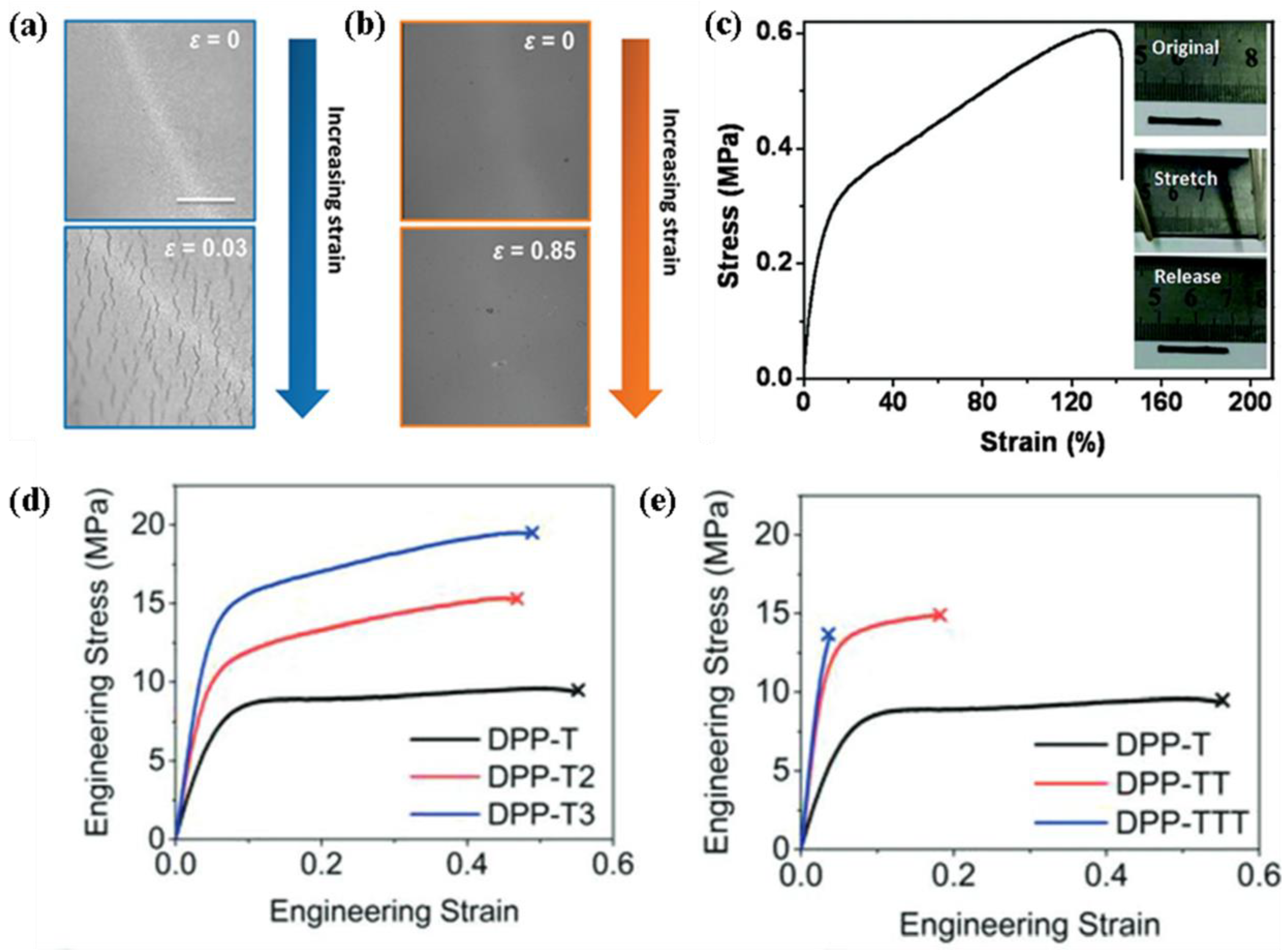 Molecules 26 06130 g006