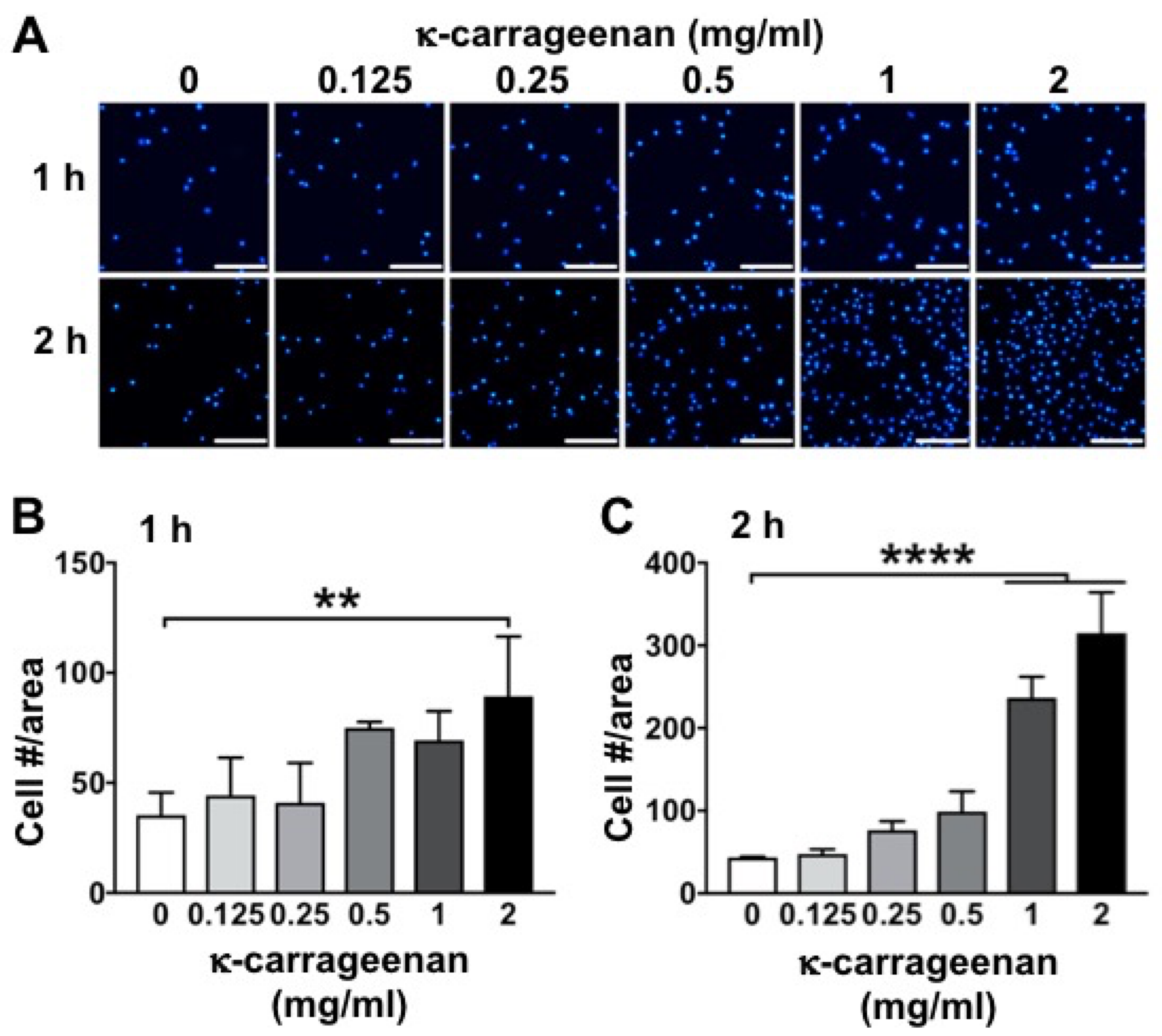 Molecules 26 06131 g001