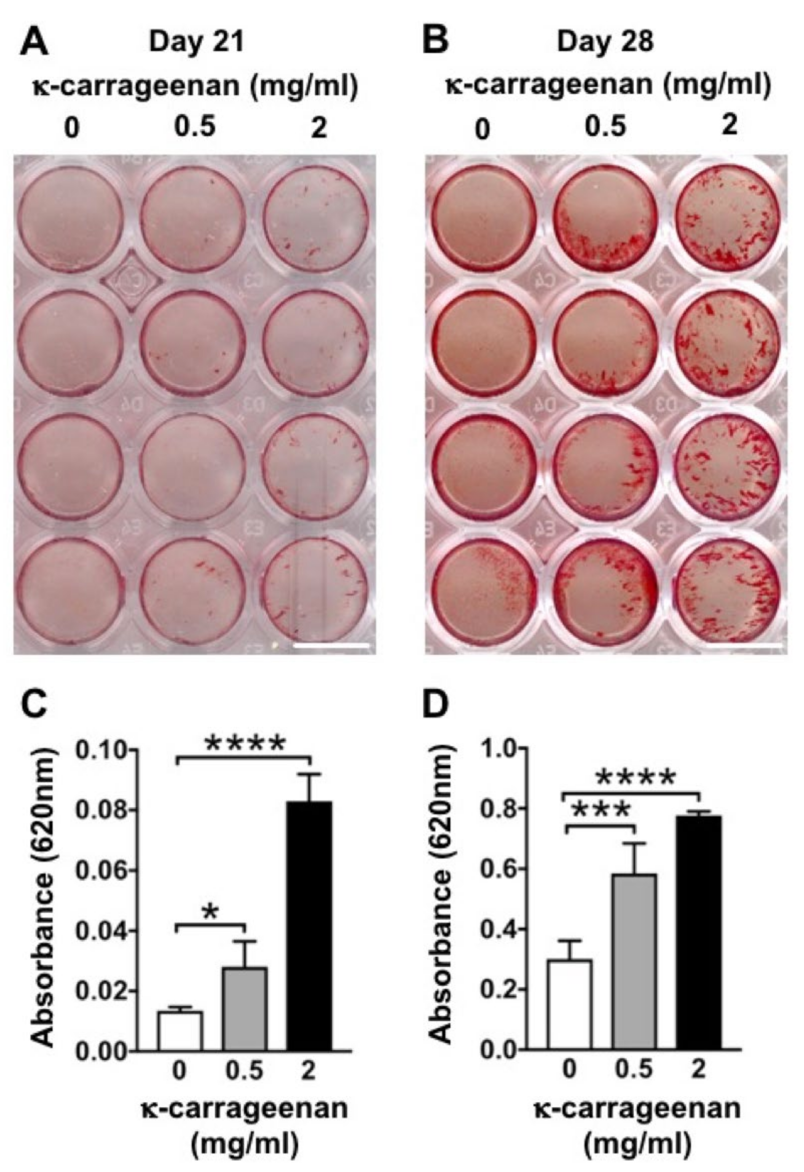 Molecules 26 06131 g008