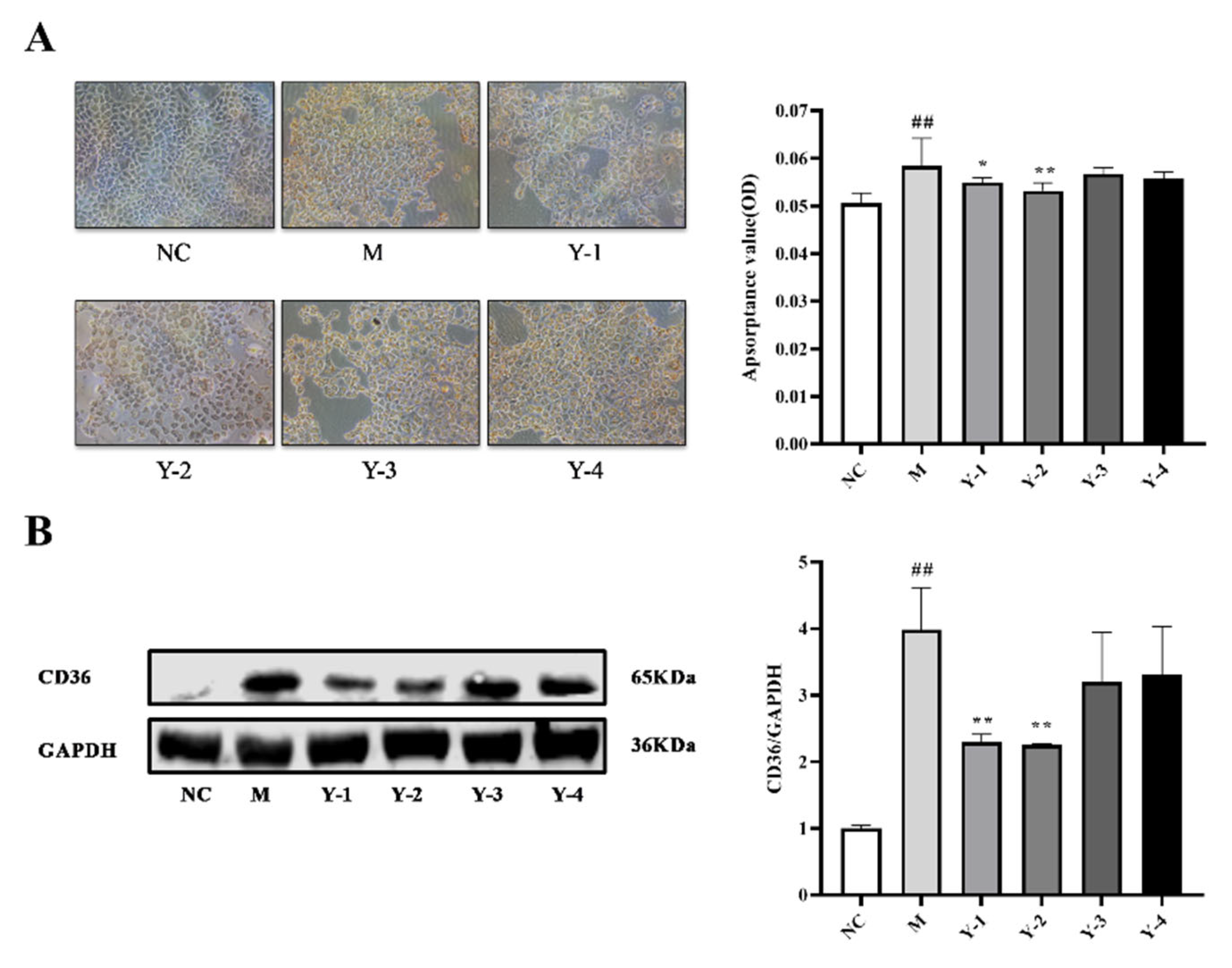 Molecules 26 06133 g002