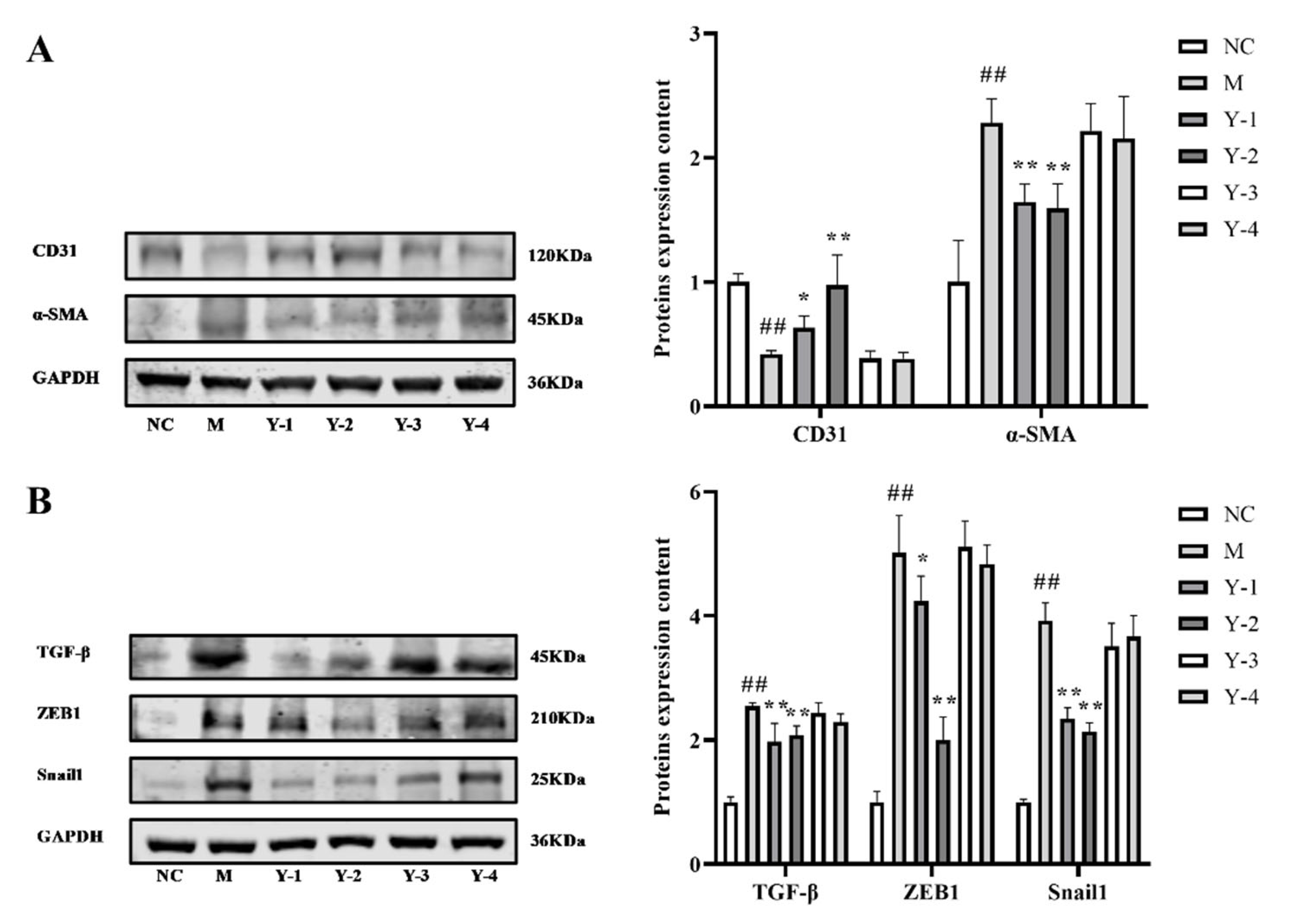 Molecules 26 06133 g003
