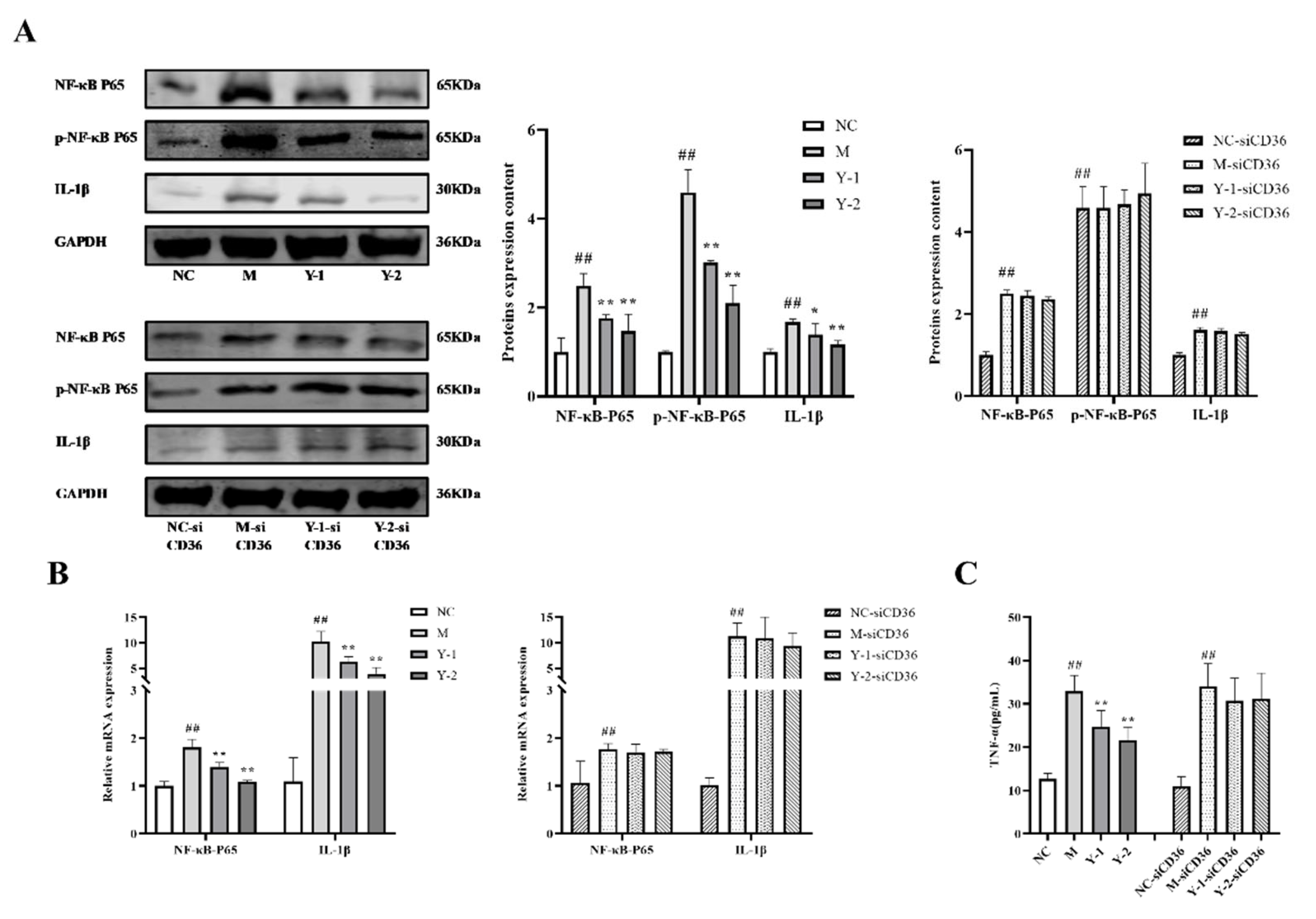 Molecules 26 06133 g004