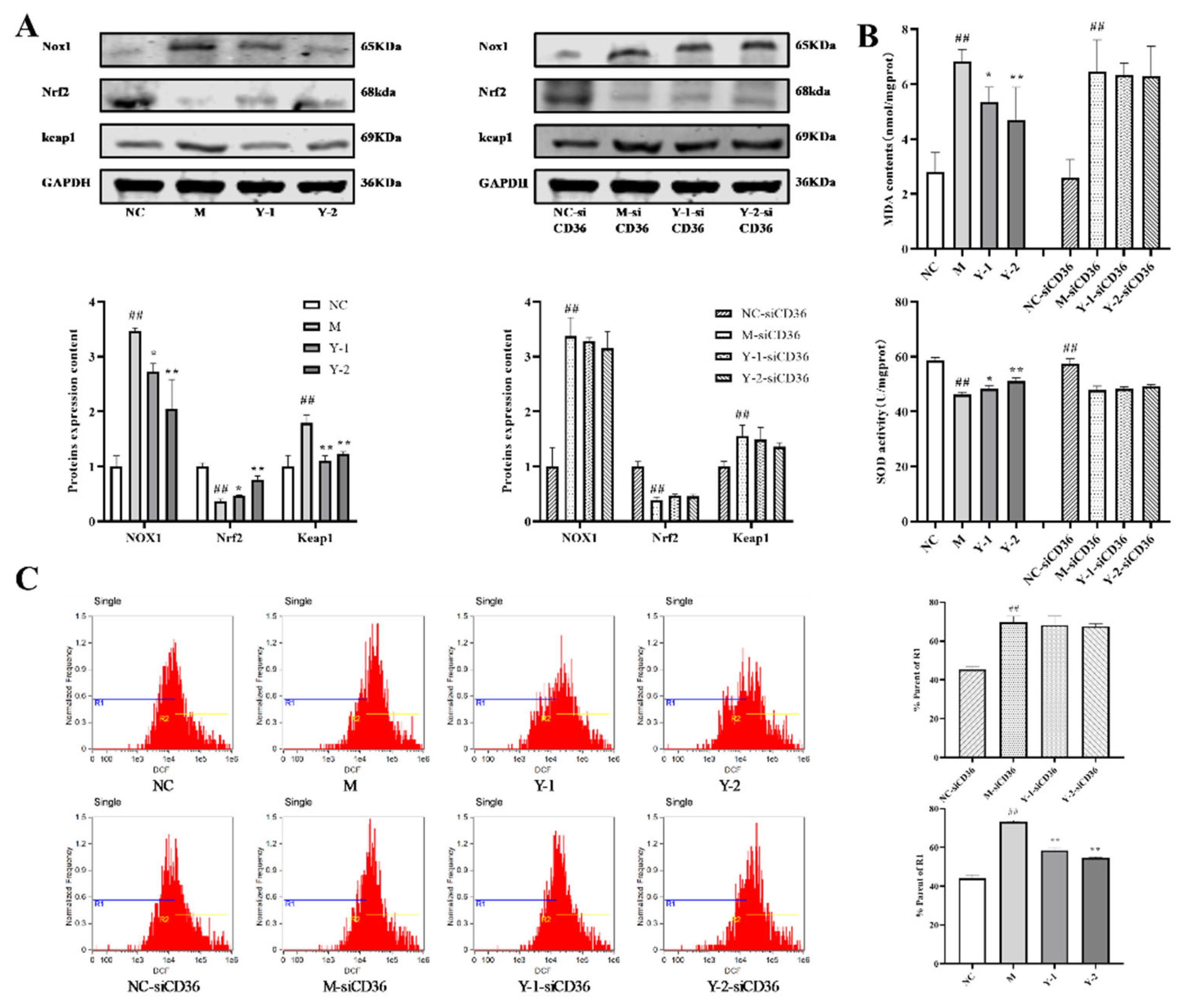 Molecules 26 06133 g005