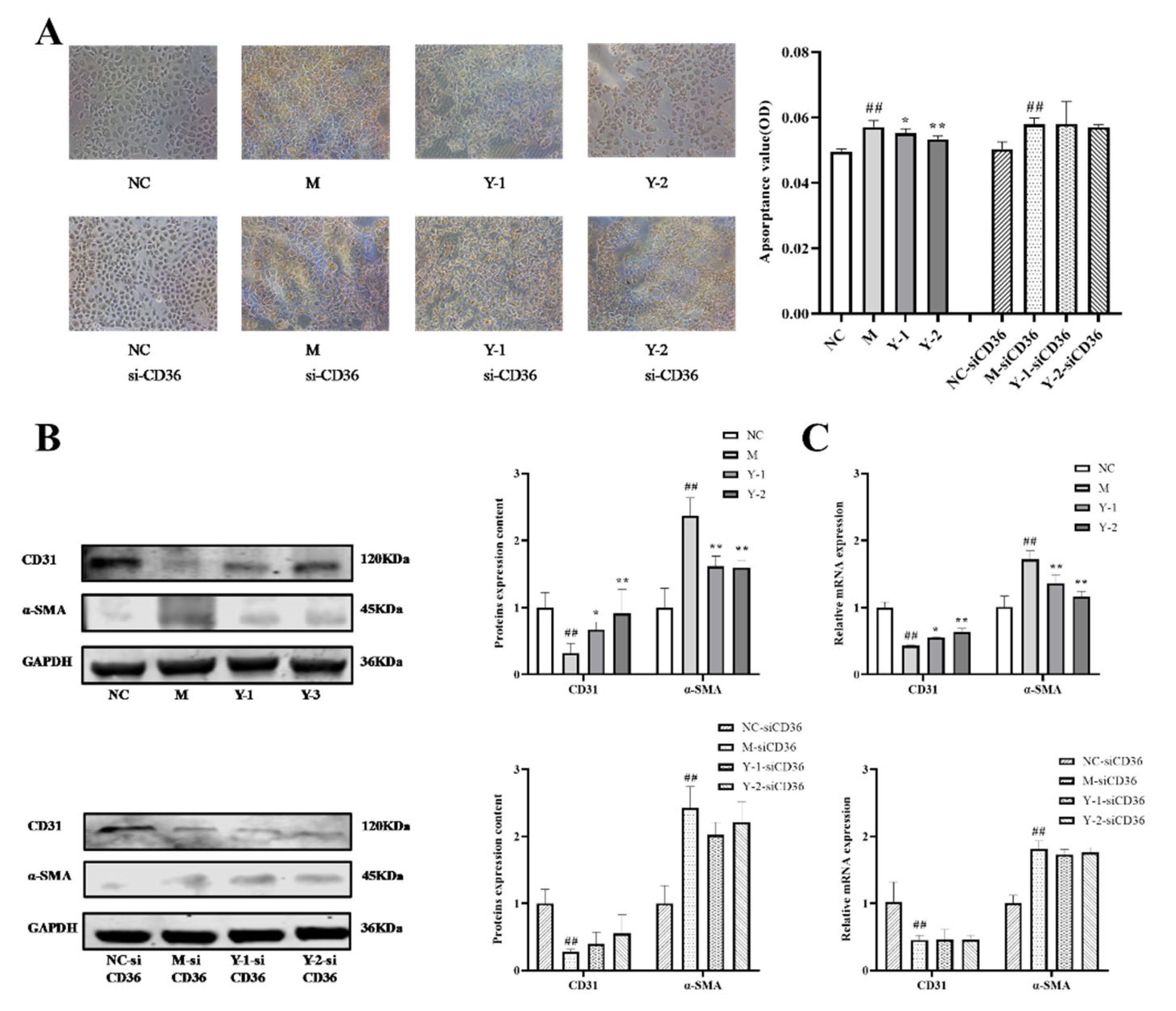 Molecules 26 06133 g006