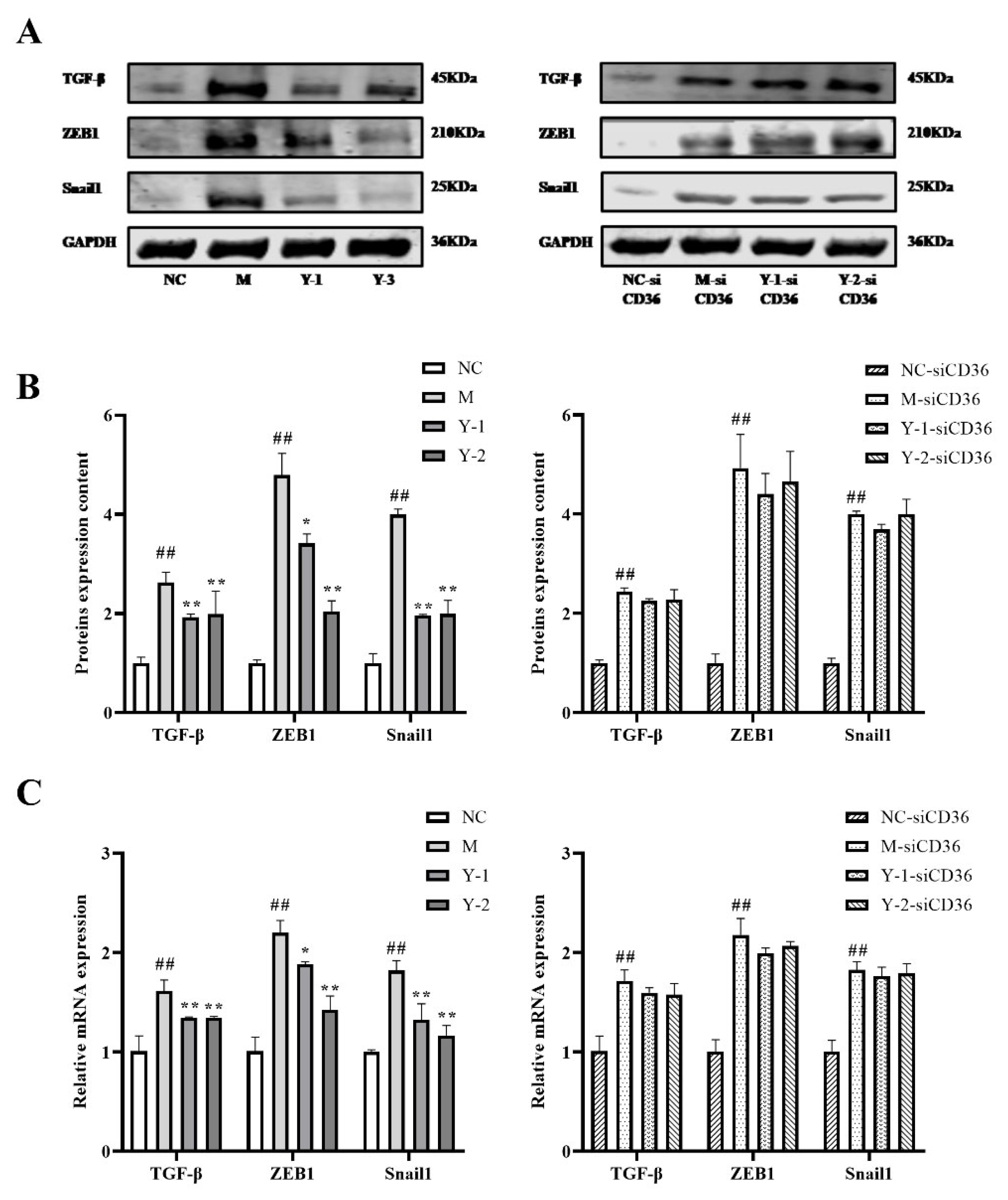 Molecules 26 06133 g008