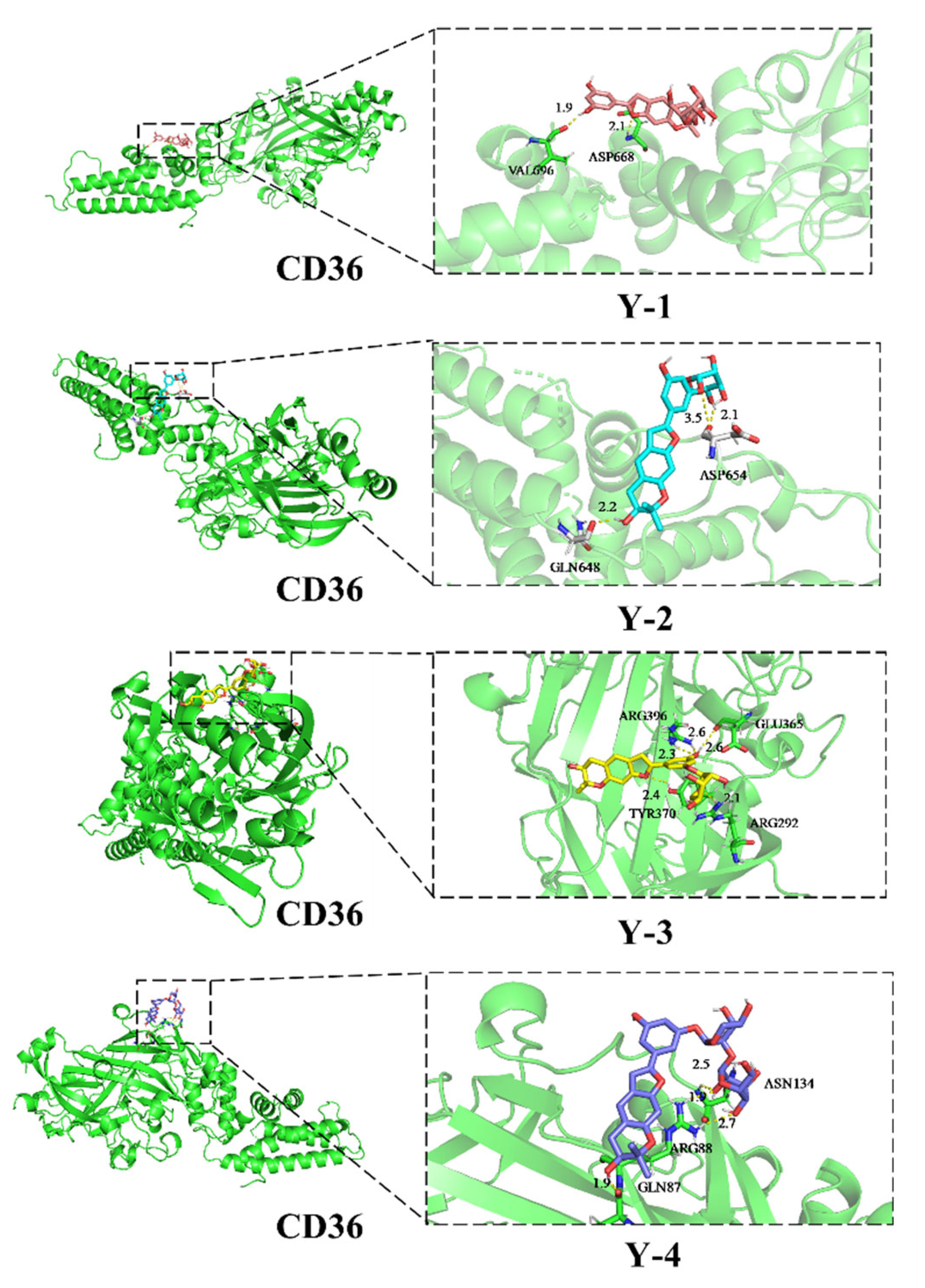 Molecules 26 06133 g010