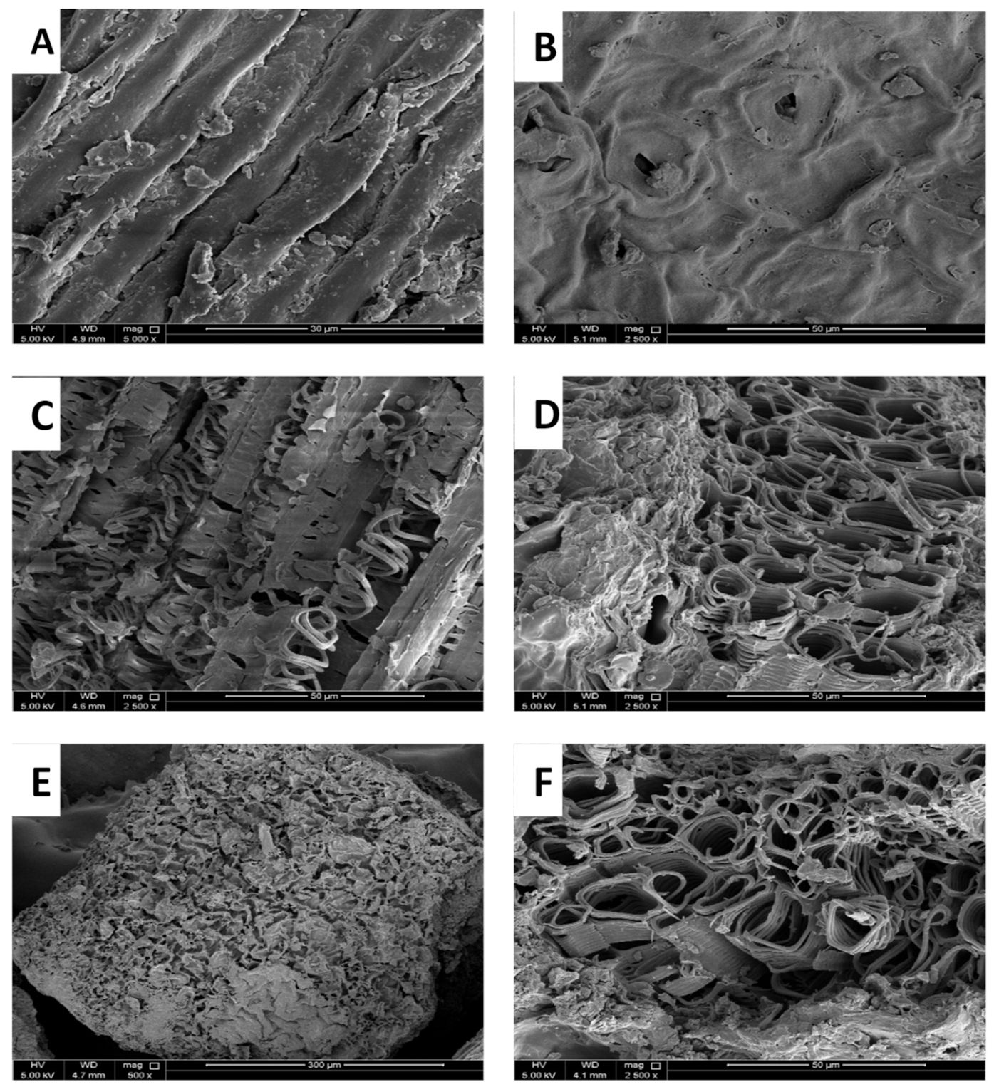 Molecules 26 06138 g006