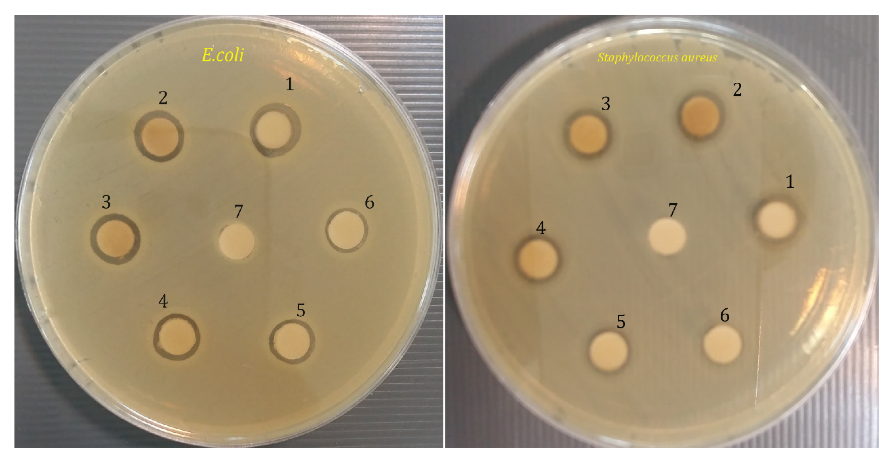 Molecules 26 06140 g007 Molecules 26 06140 g007