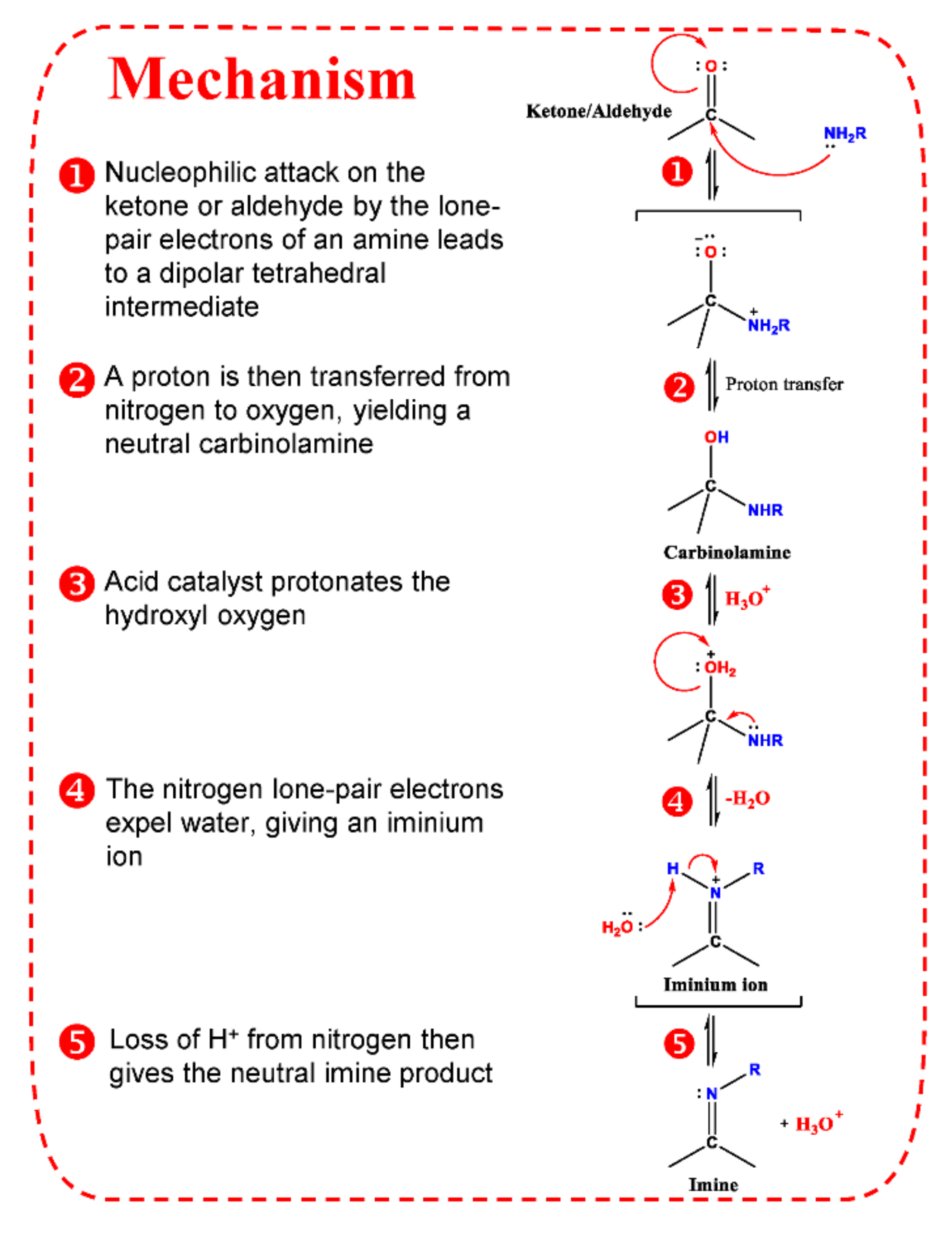 Molecules 26 06147 g003