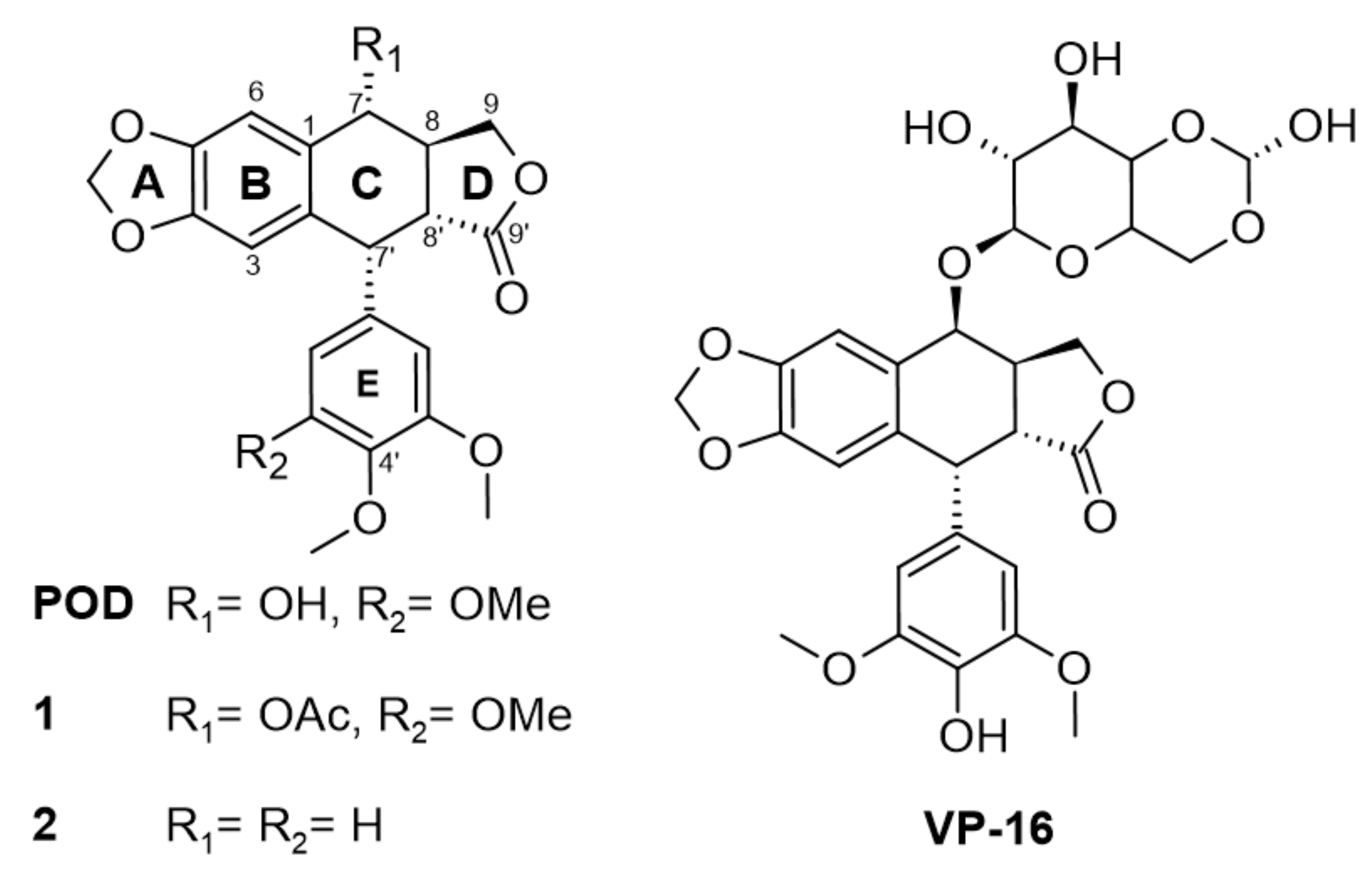 Molecules 26 06155 g001