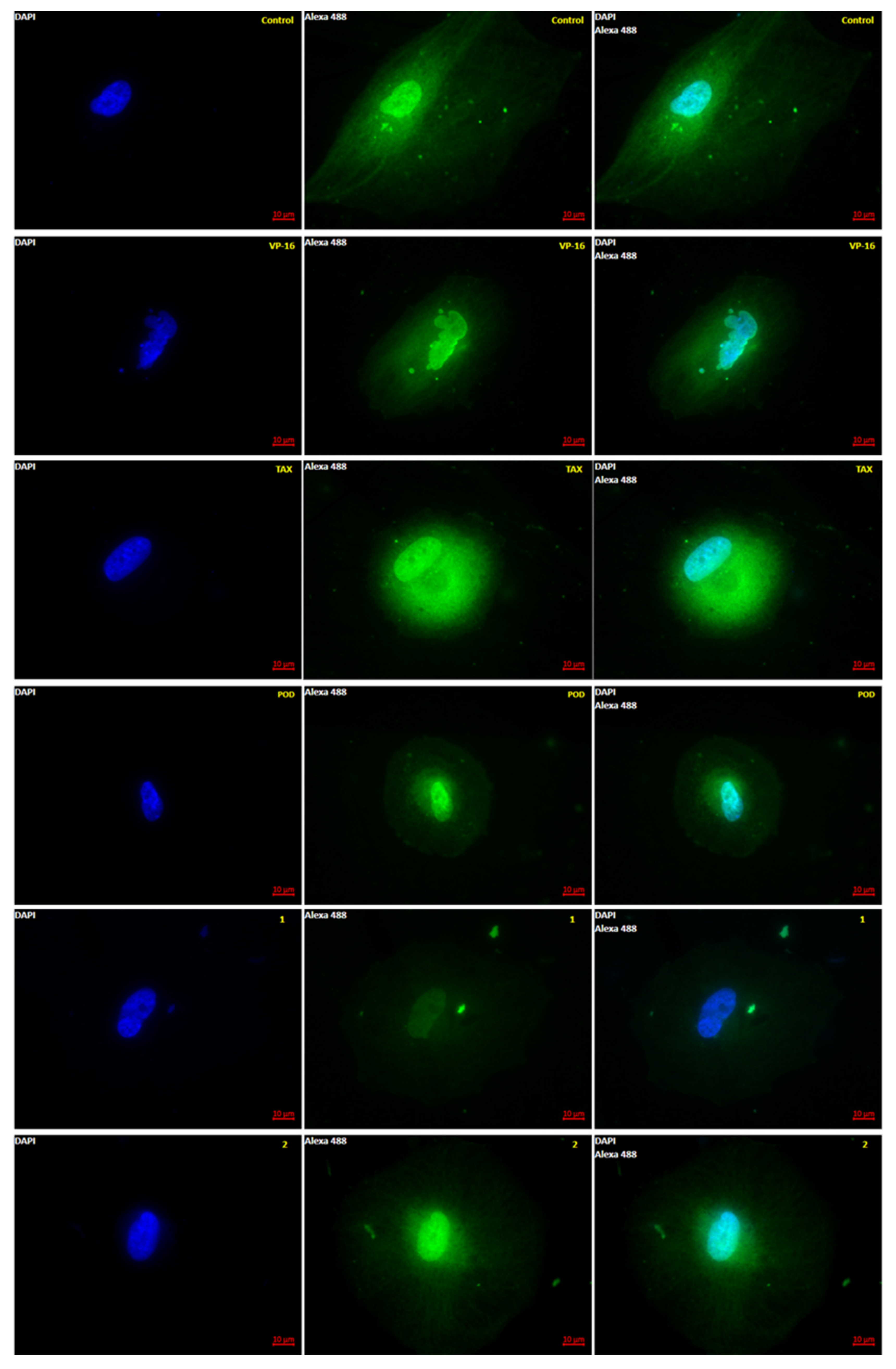 Molecules 26 06155 g002
