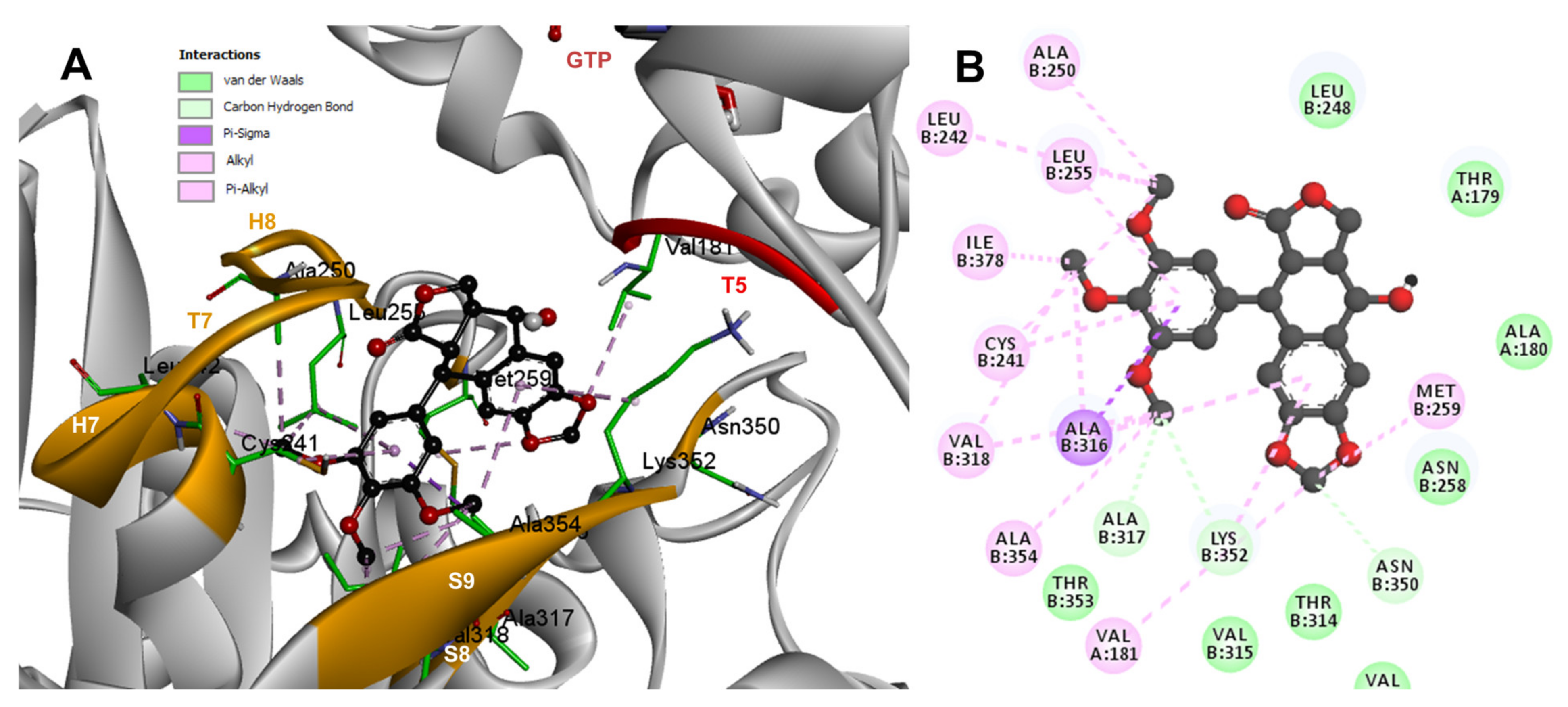 Molecules 26 06155 g005