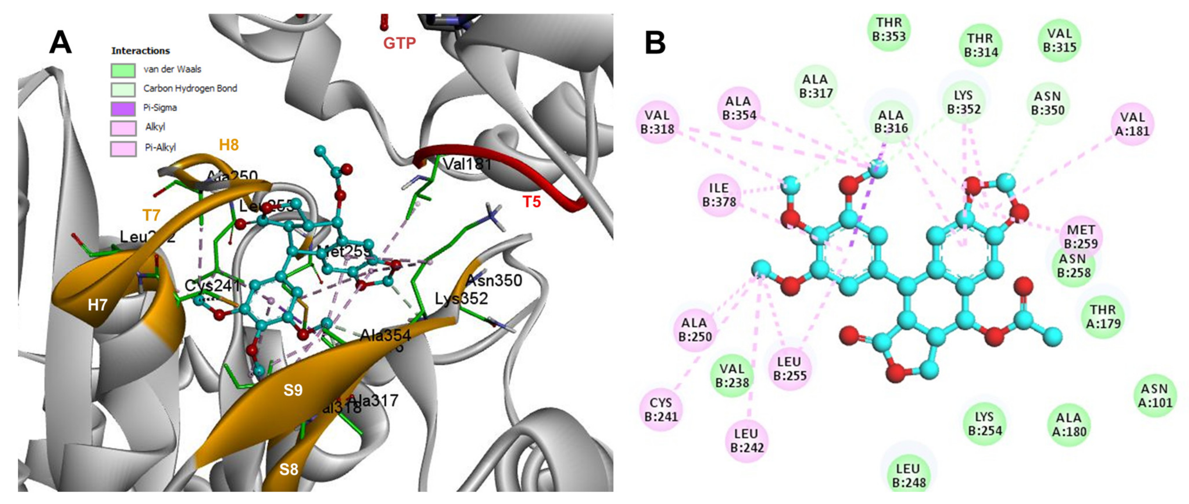 Molecules 26 06155 g006