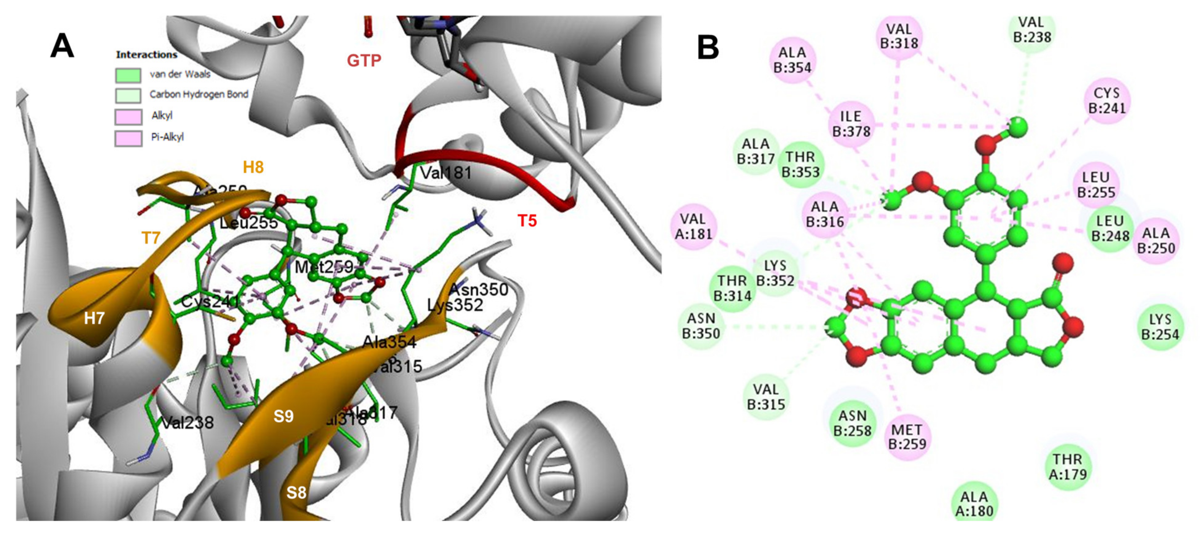 Molecules 26 06155 g007