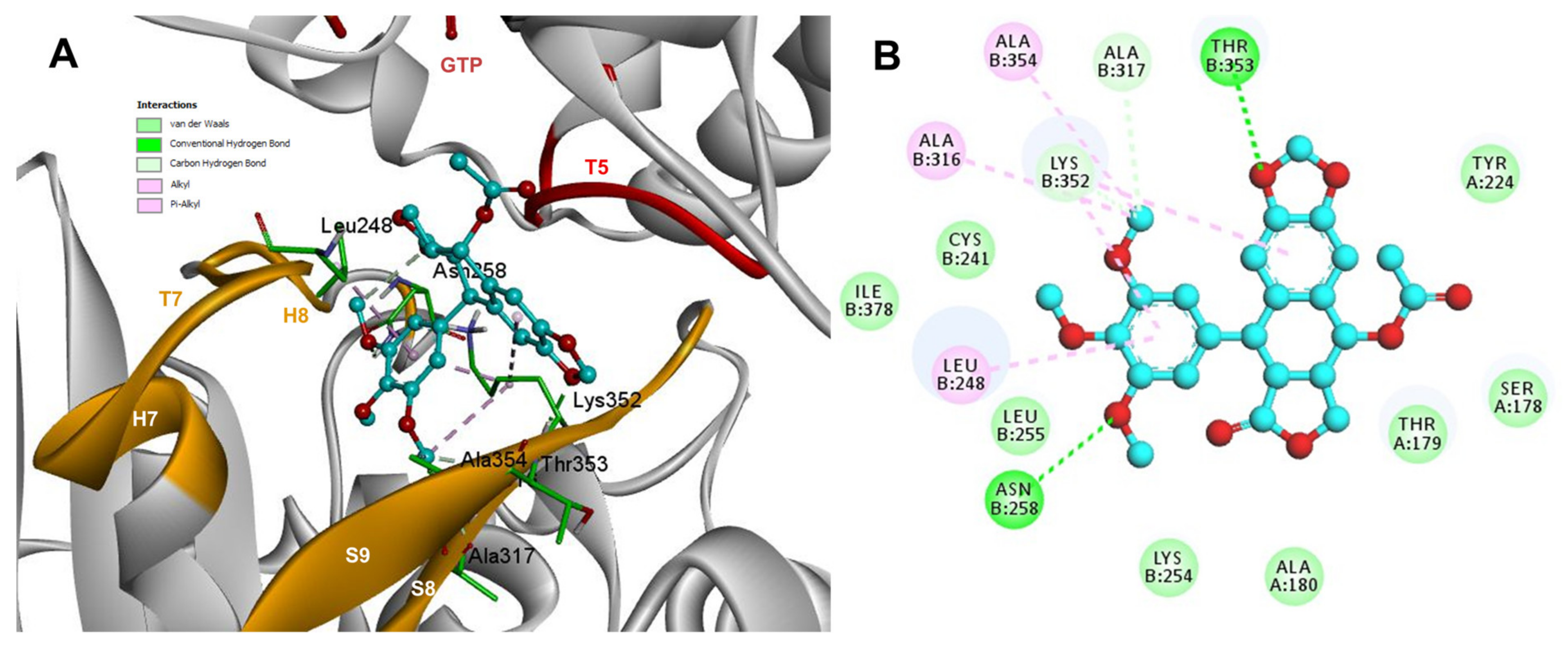 Molecules 26 06155 g009