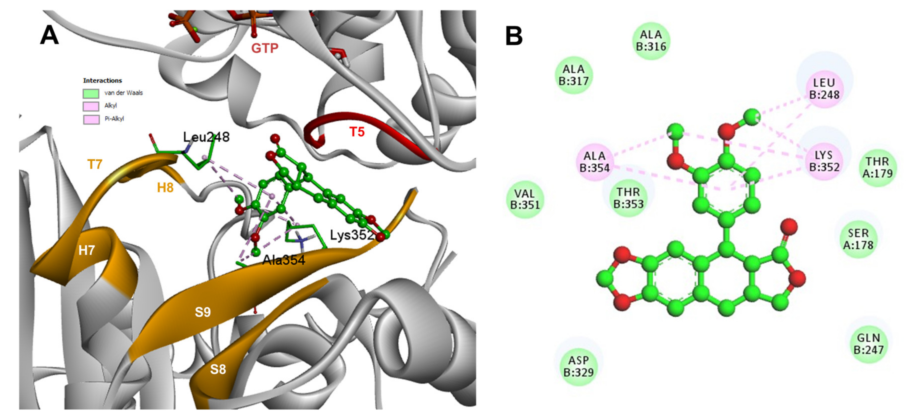 Molecules 26 06155 g010