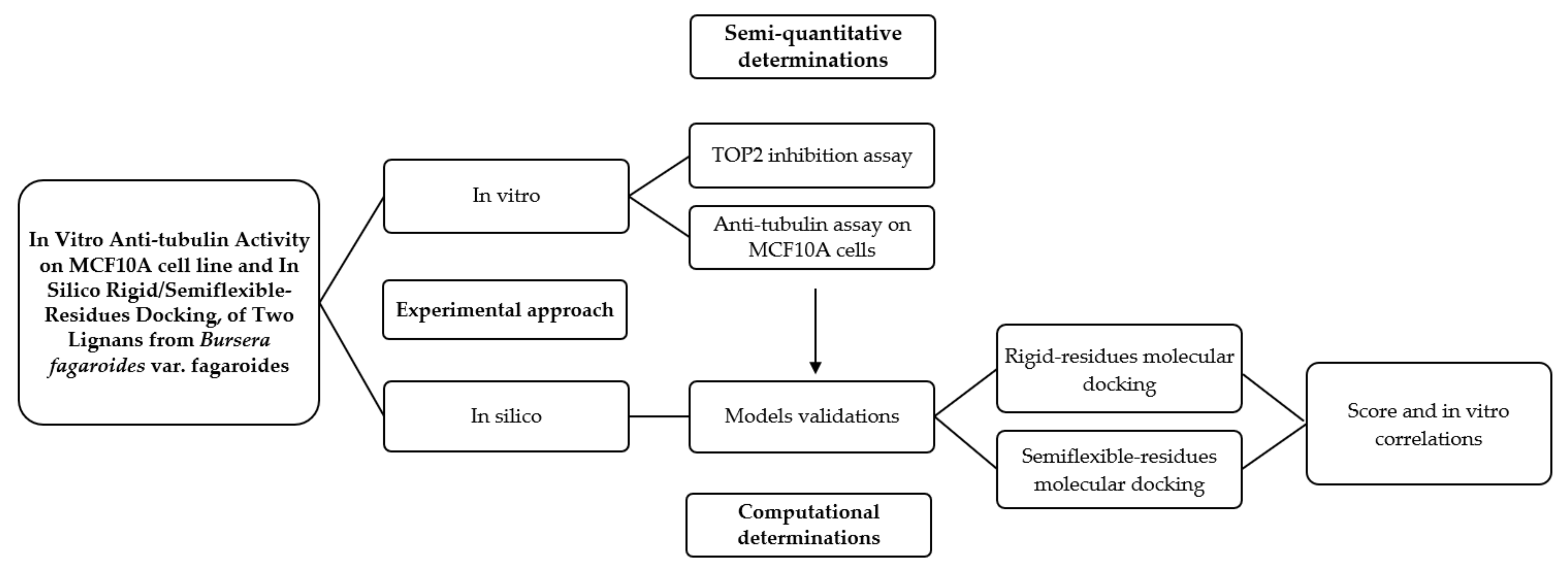 Molecules 26 06155 g013