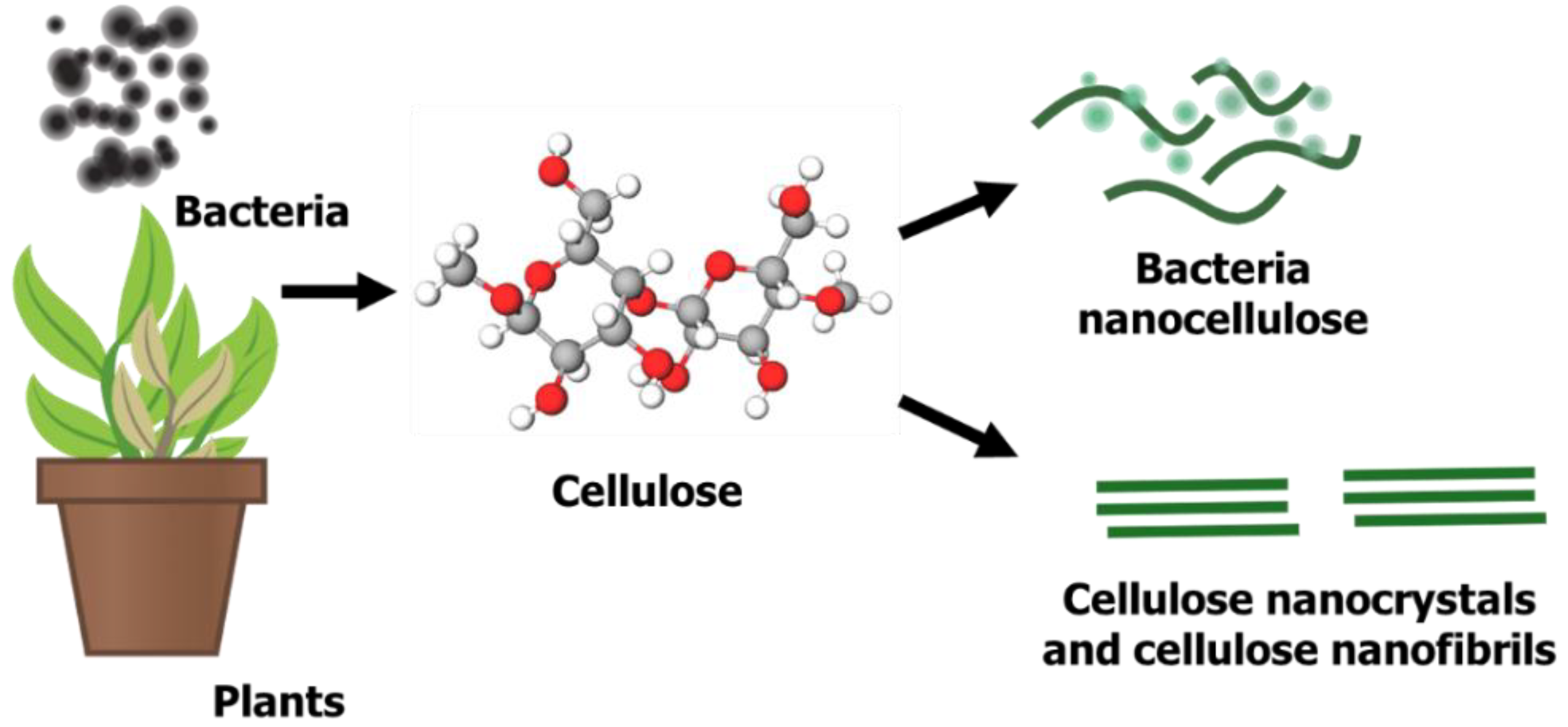 Molecules 26 06158 g001