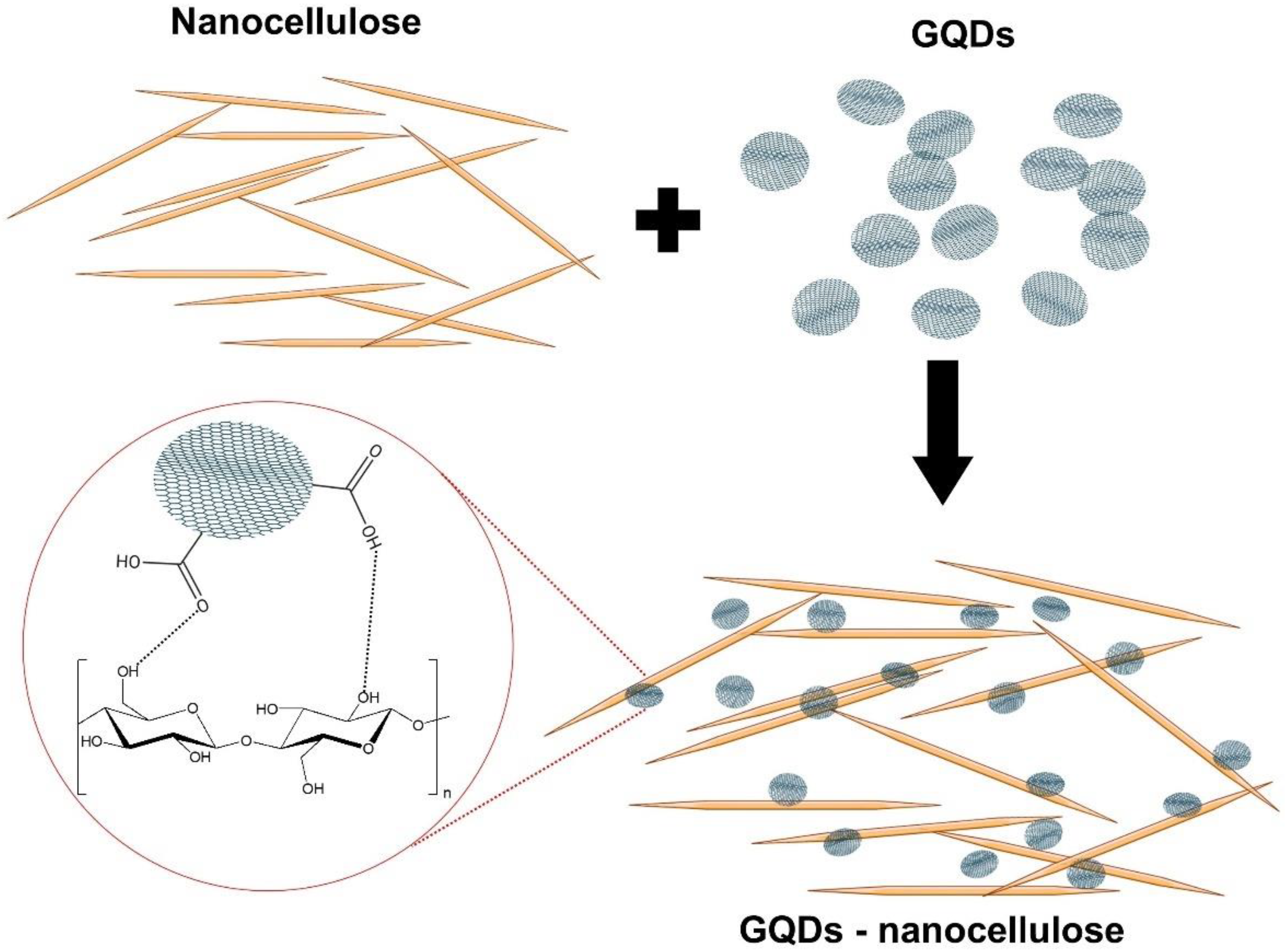Molecules 26 06158 g004