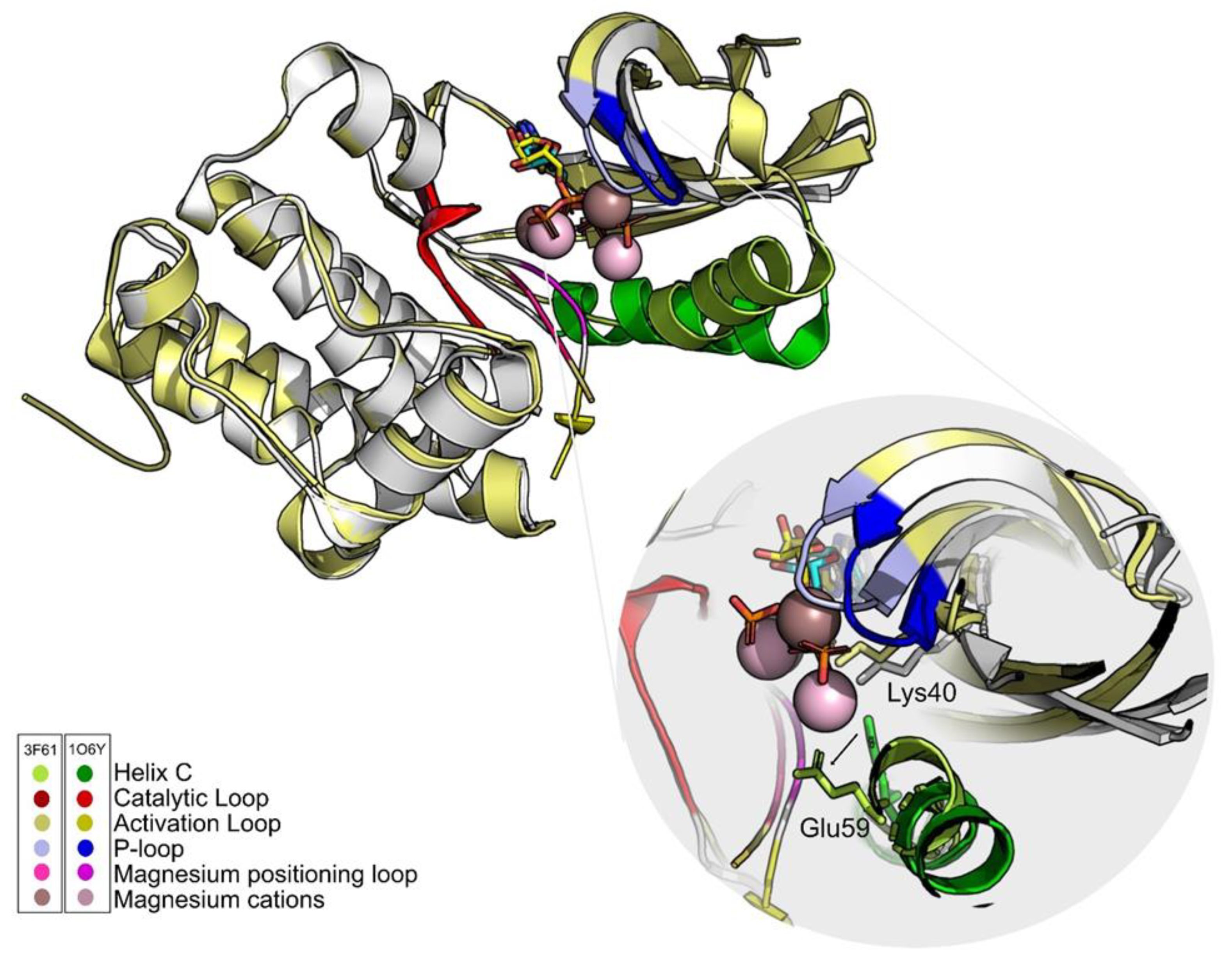 Molecules 26 06162 g004