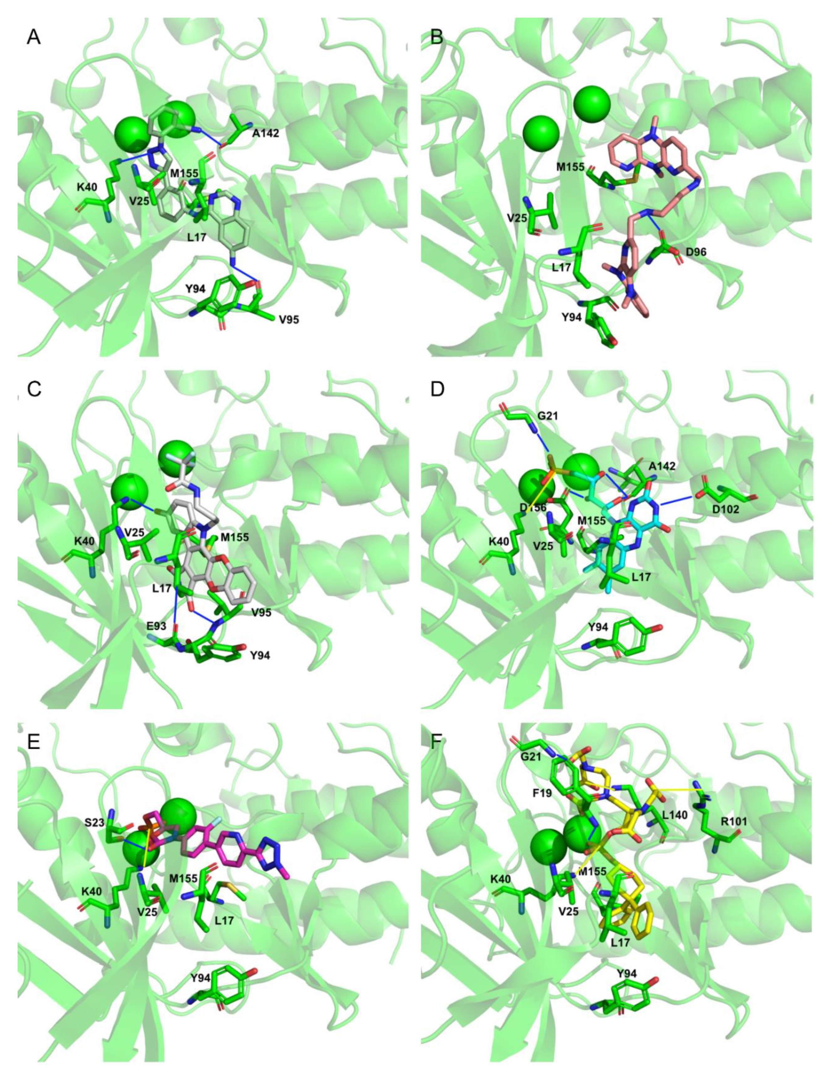 Molecules 26 06162 g008