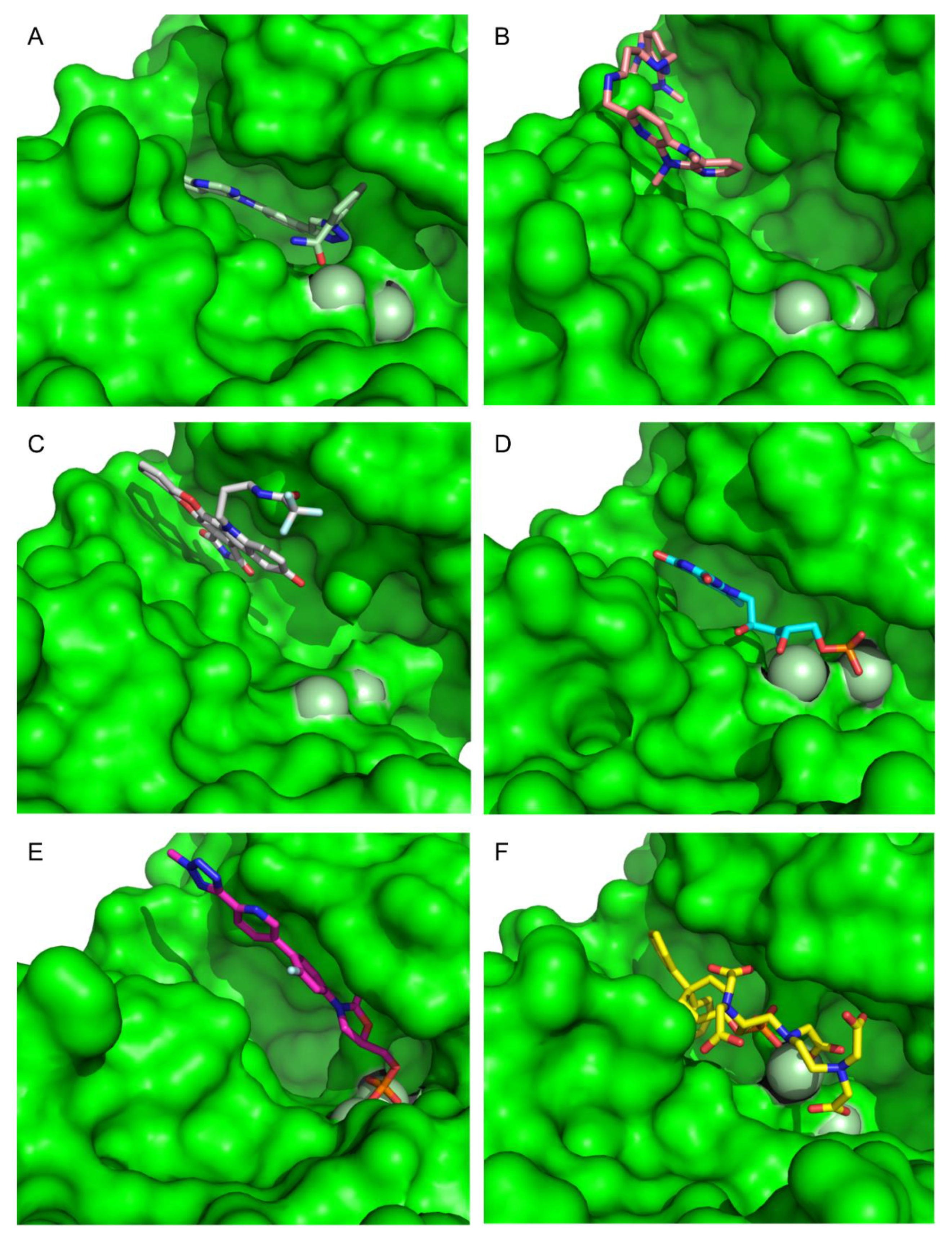 Molecules 26 06162 g009