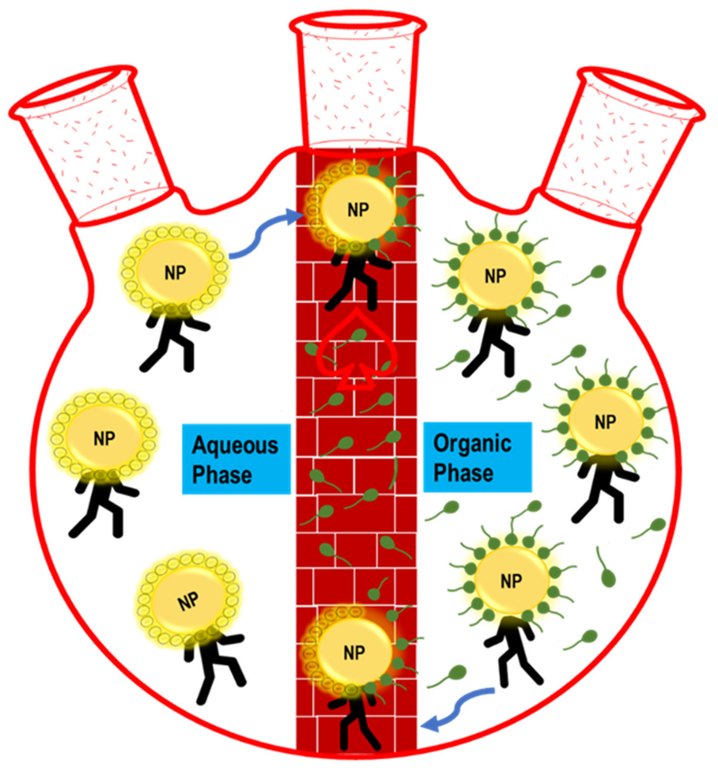Molecules 26 06170 g002
