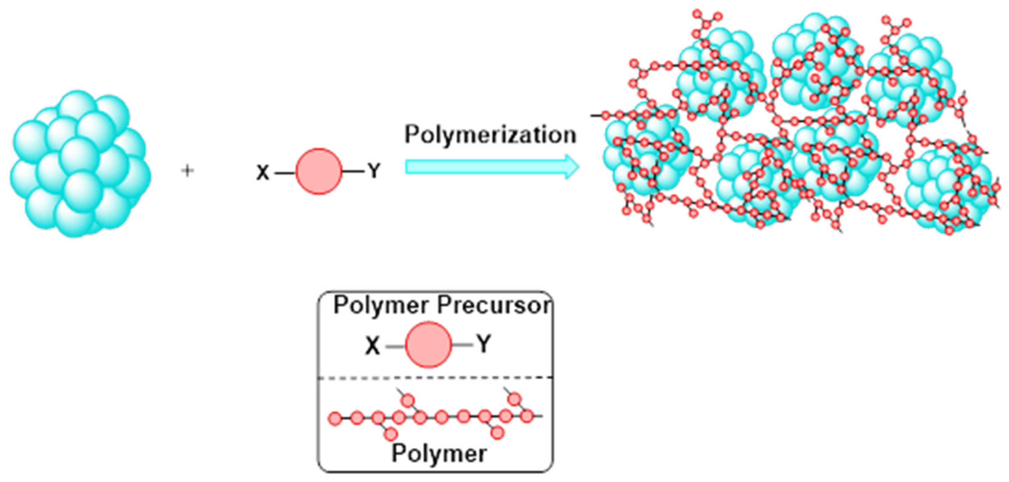 Molecules 26 06170 g004