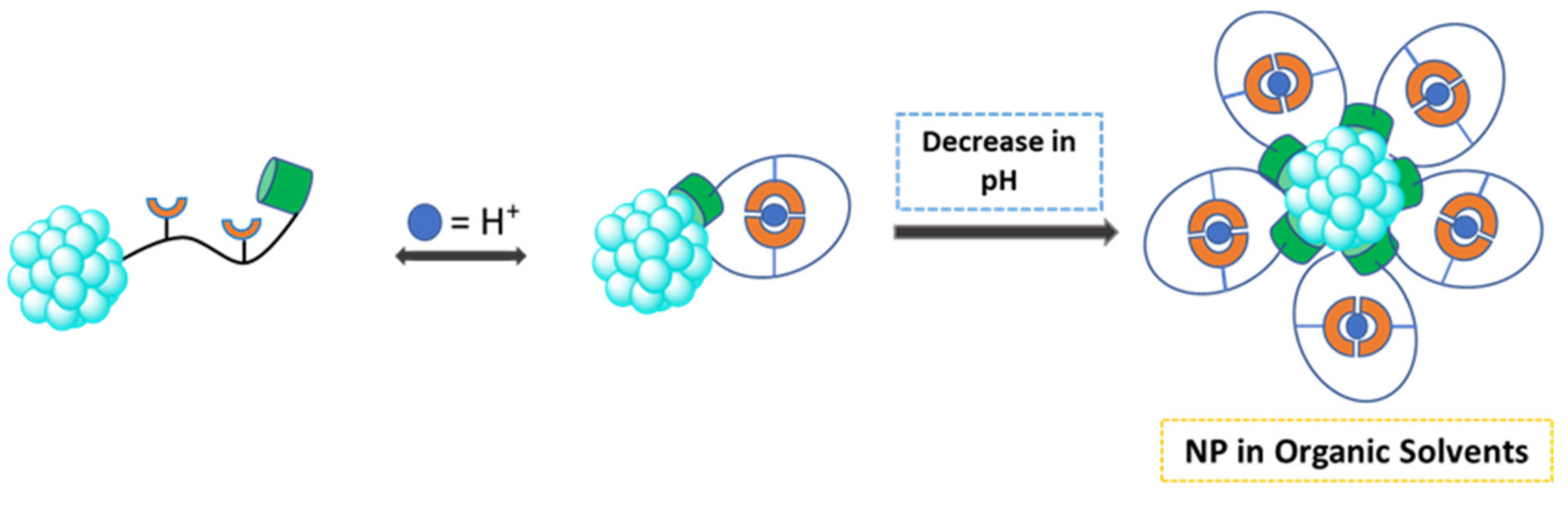 Molecules 26 06170 g005