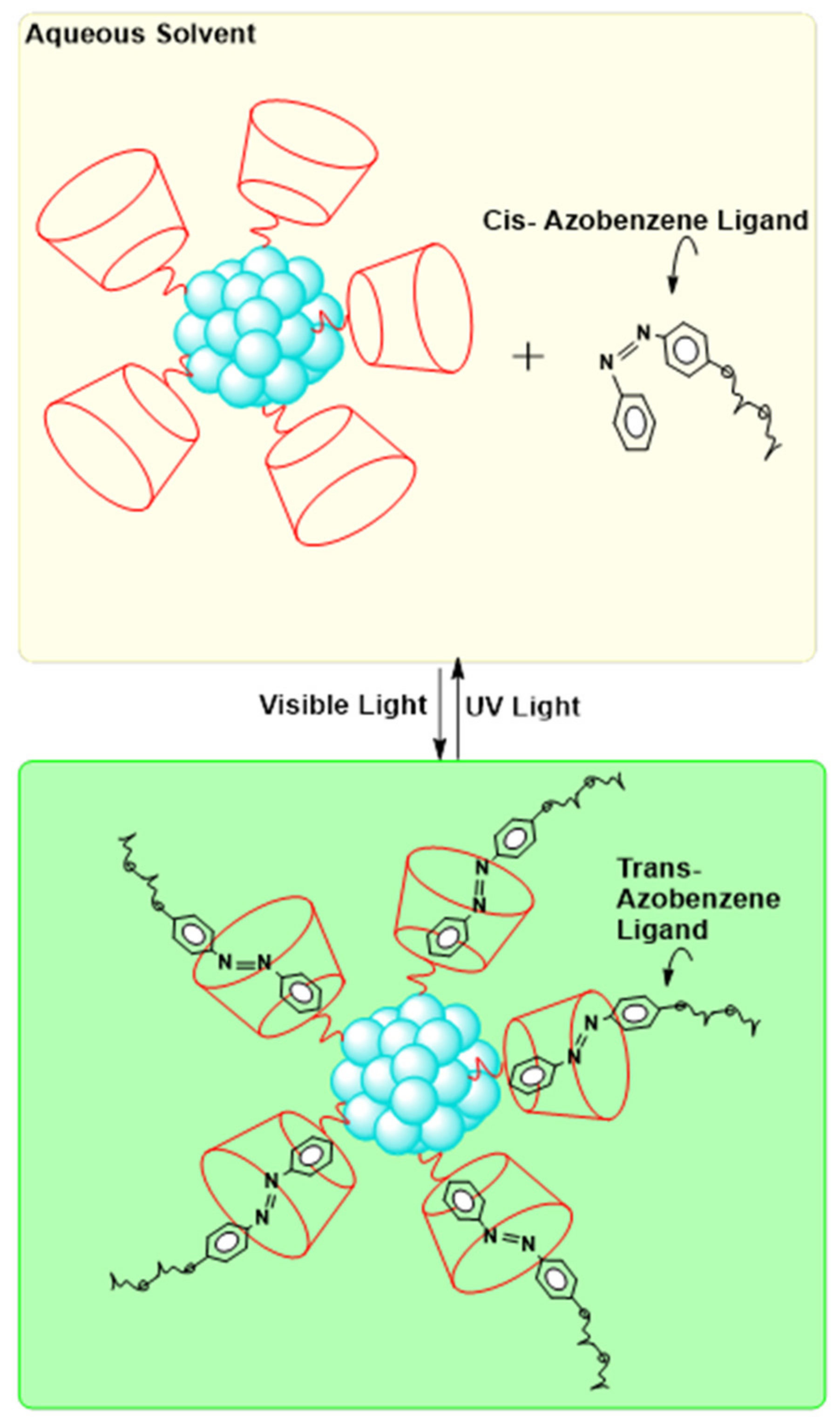 Molecules 26 06170 g006
