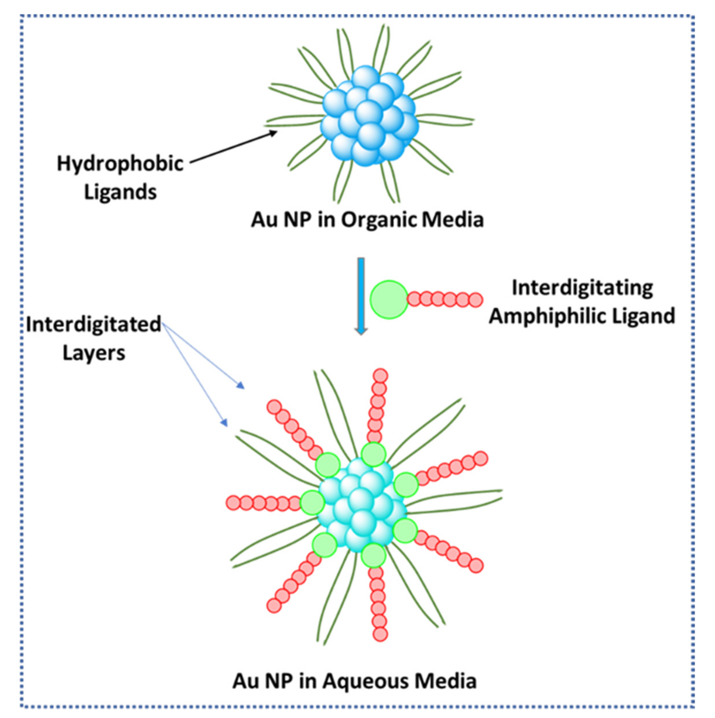 Molecules 26 06170 g007