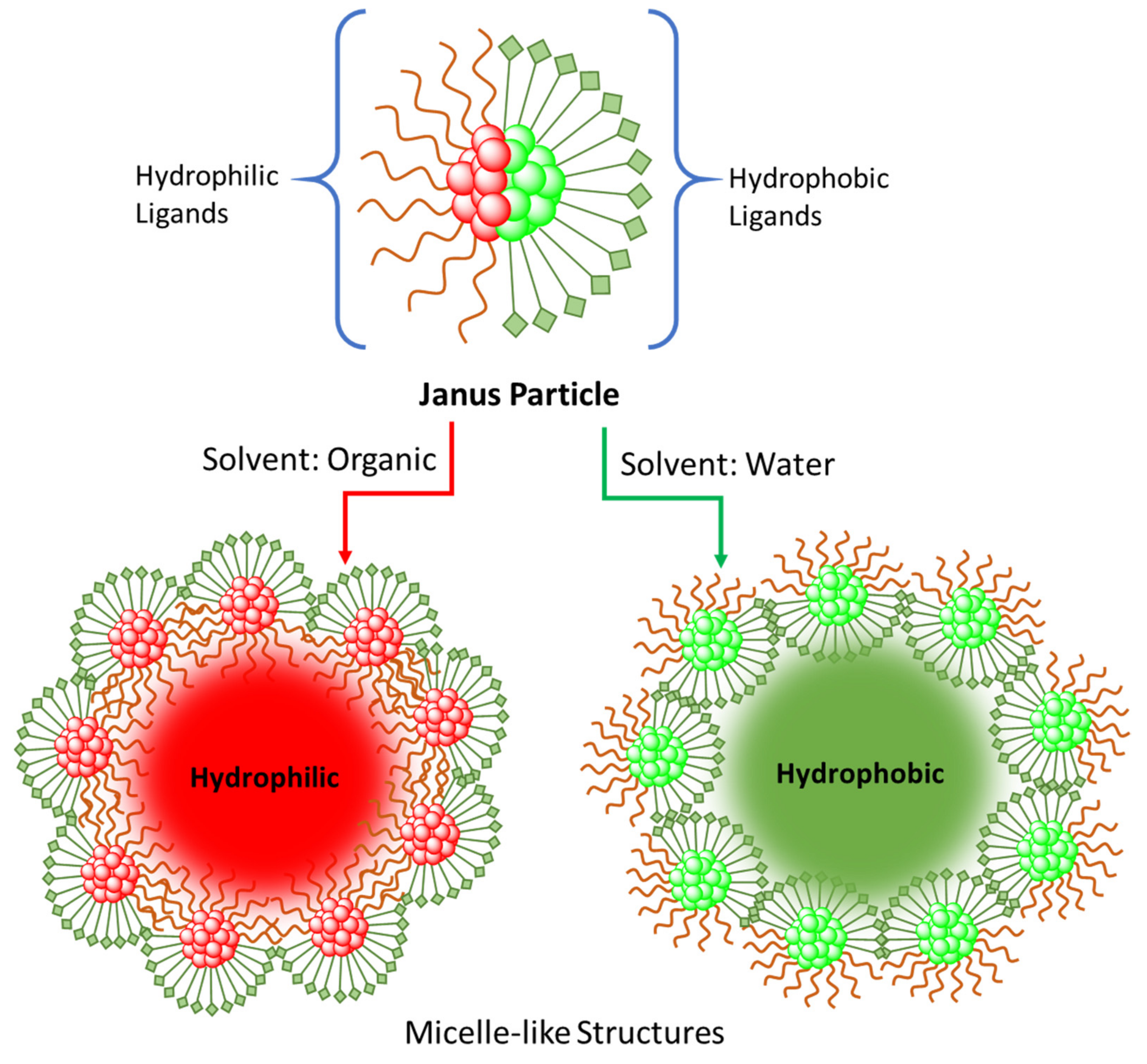 Molecules 26 06170 g008