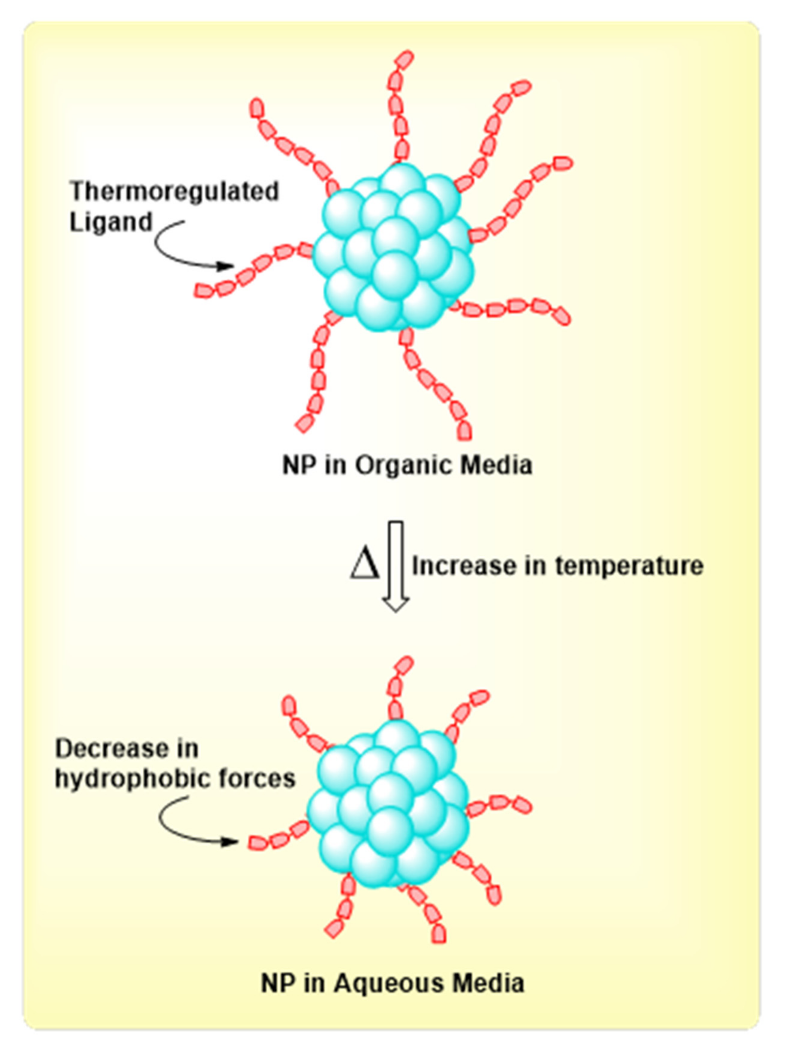 Molecules 26 06170 g009