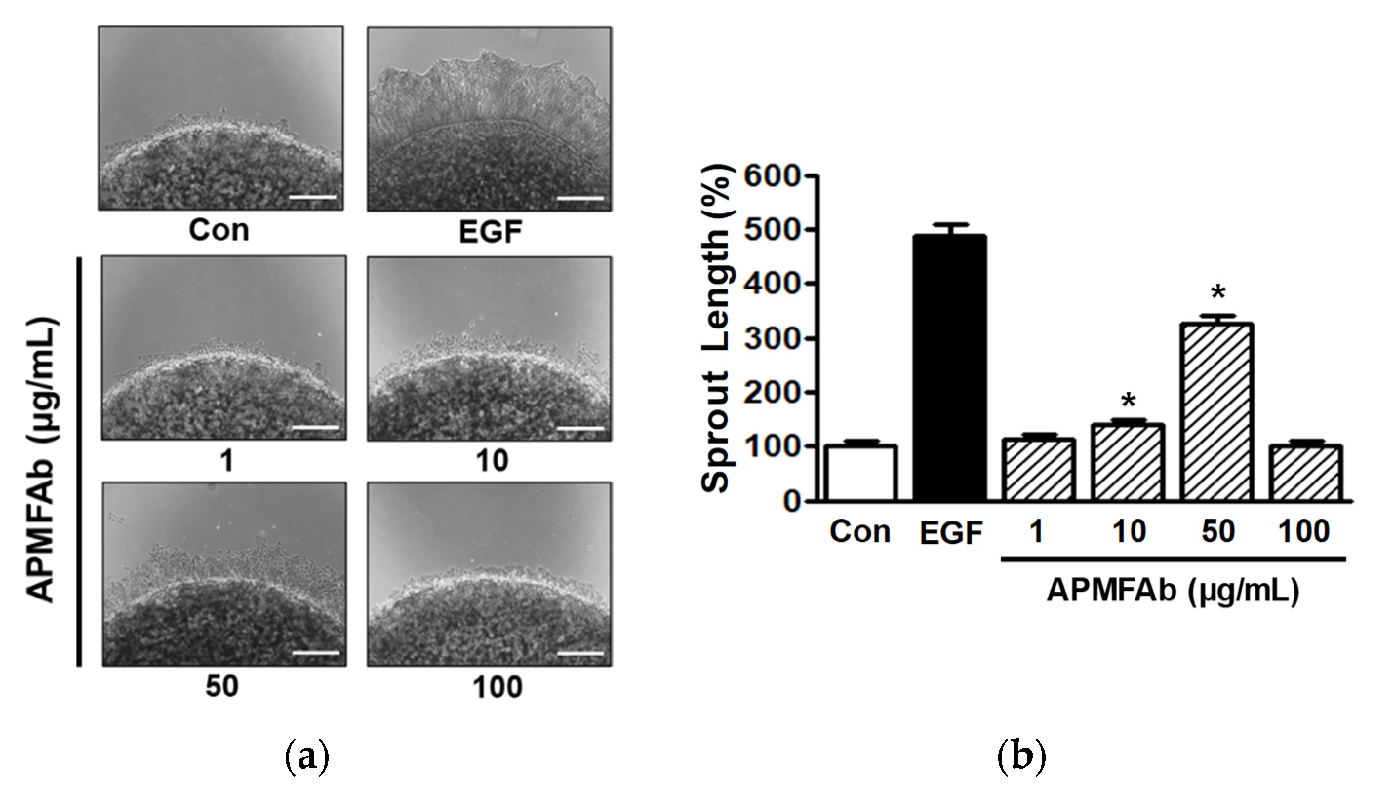 Molecules 26 06172 g002 Molecules 26 06172 g002