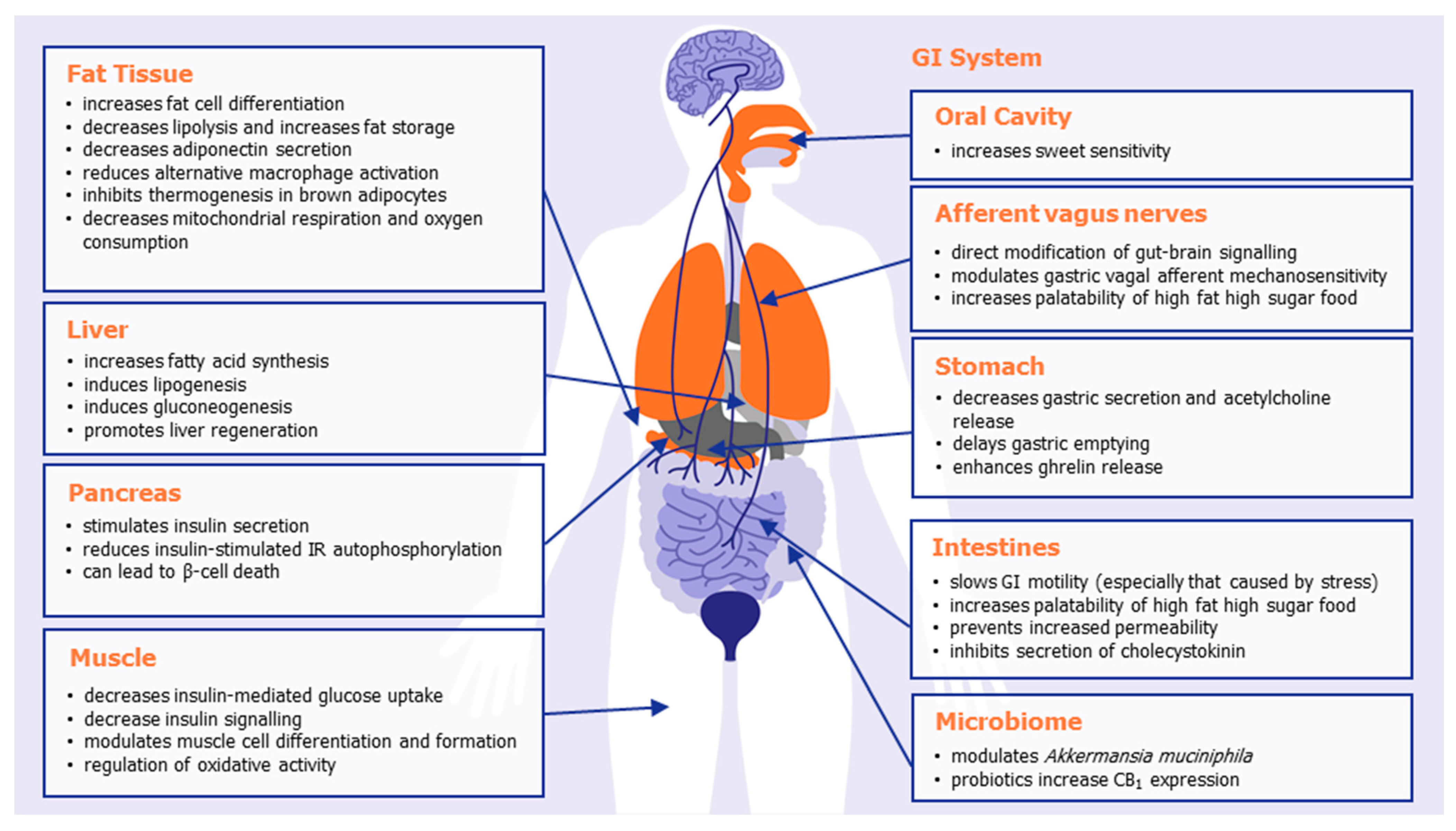 Molecules 26 06178 g001