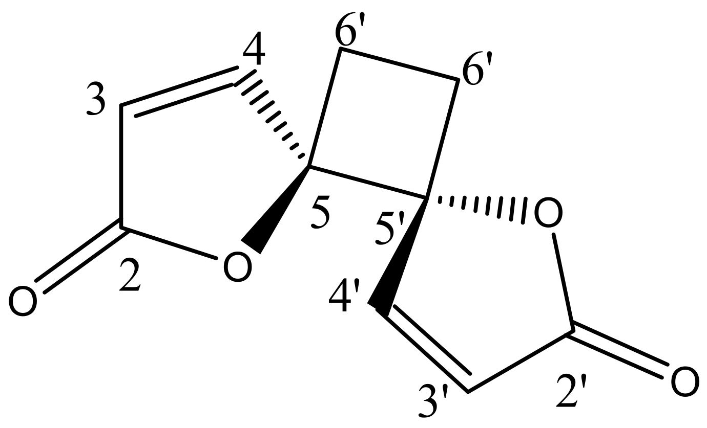 Molecules 26 06179 g001