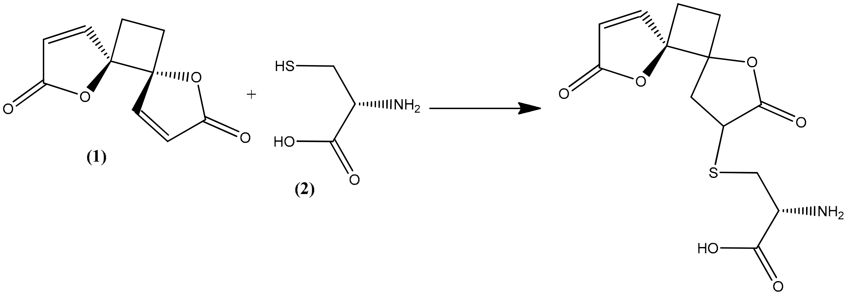 Molecules 26 06179 g004