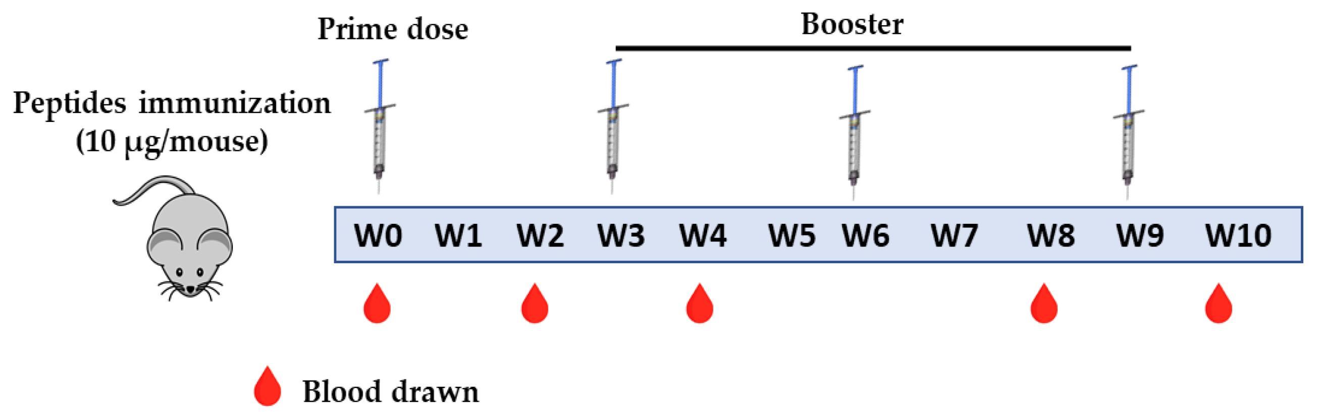 Molecules 26 06182 g005