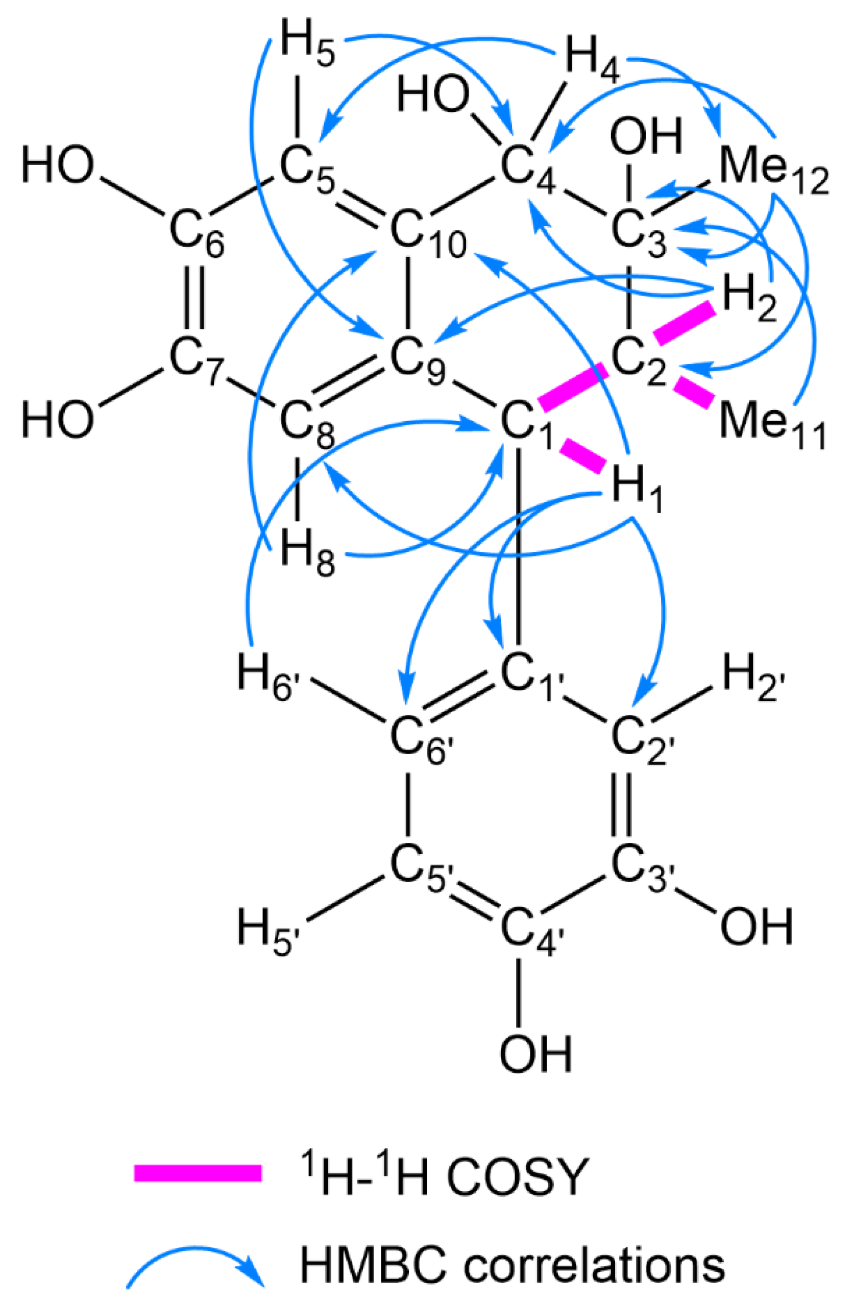 Molecules 26 06186 g002