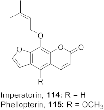 Molecules 26 06197 i078