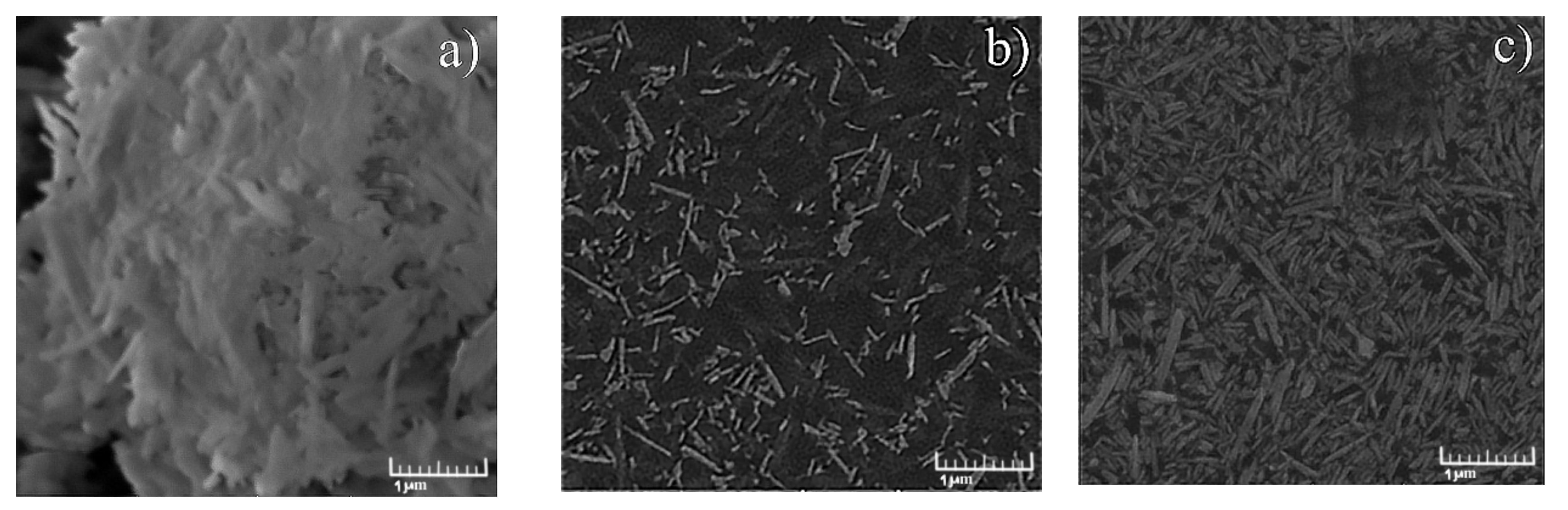 Molecules 26 06198 g001