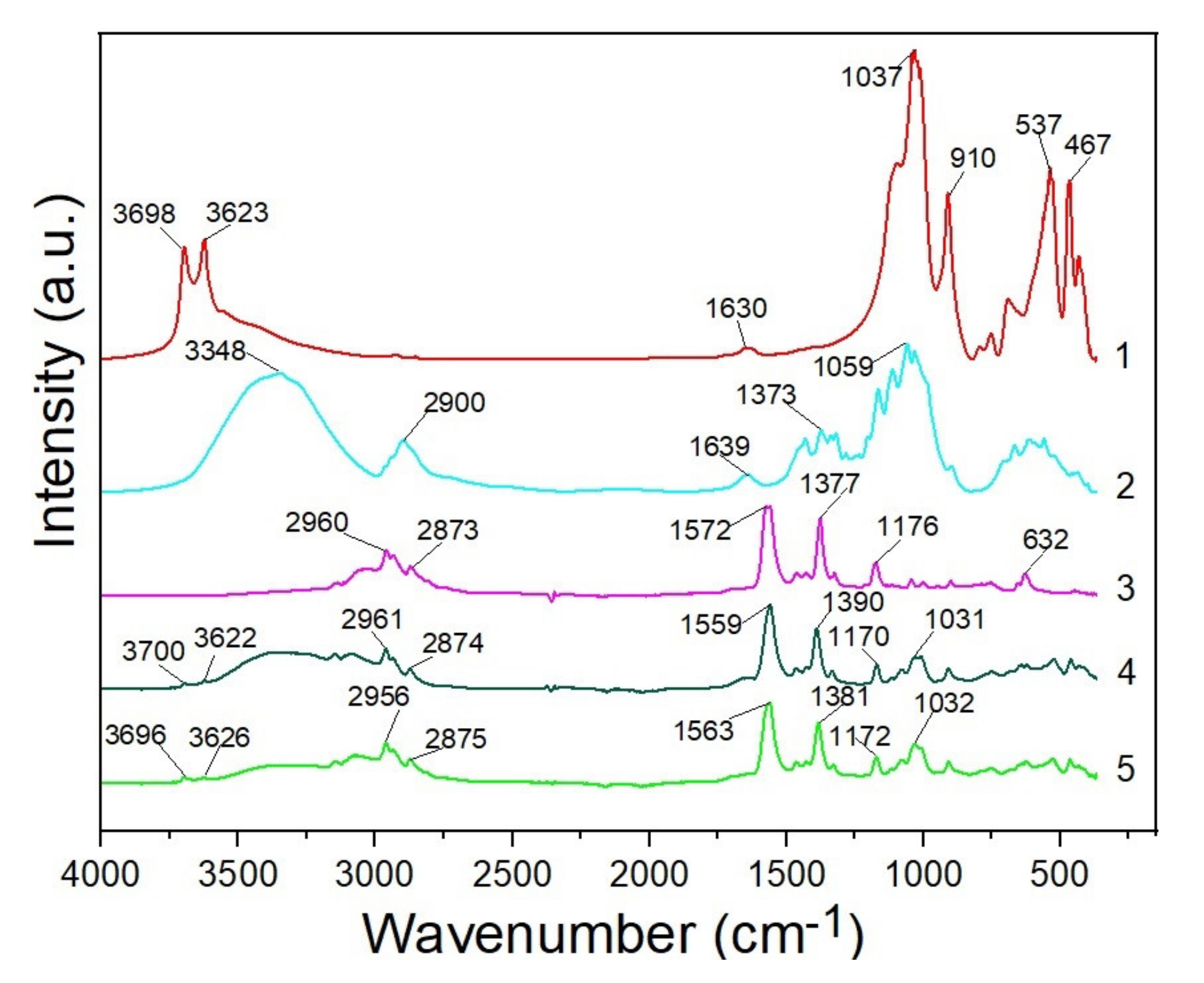 Molecules 26 06198 g007