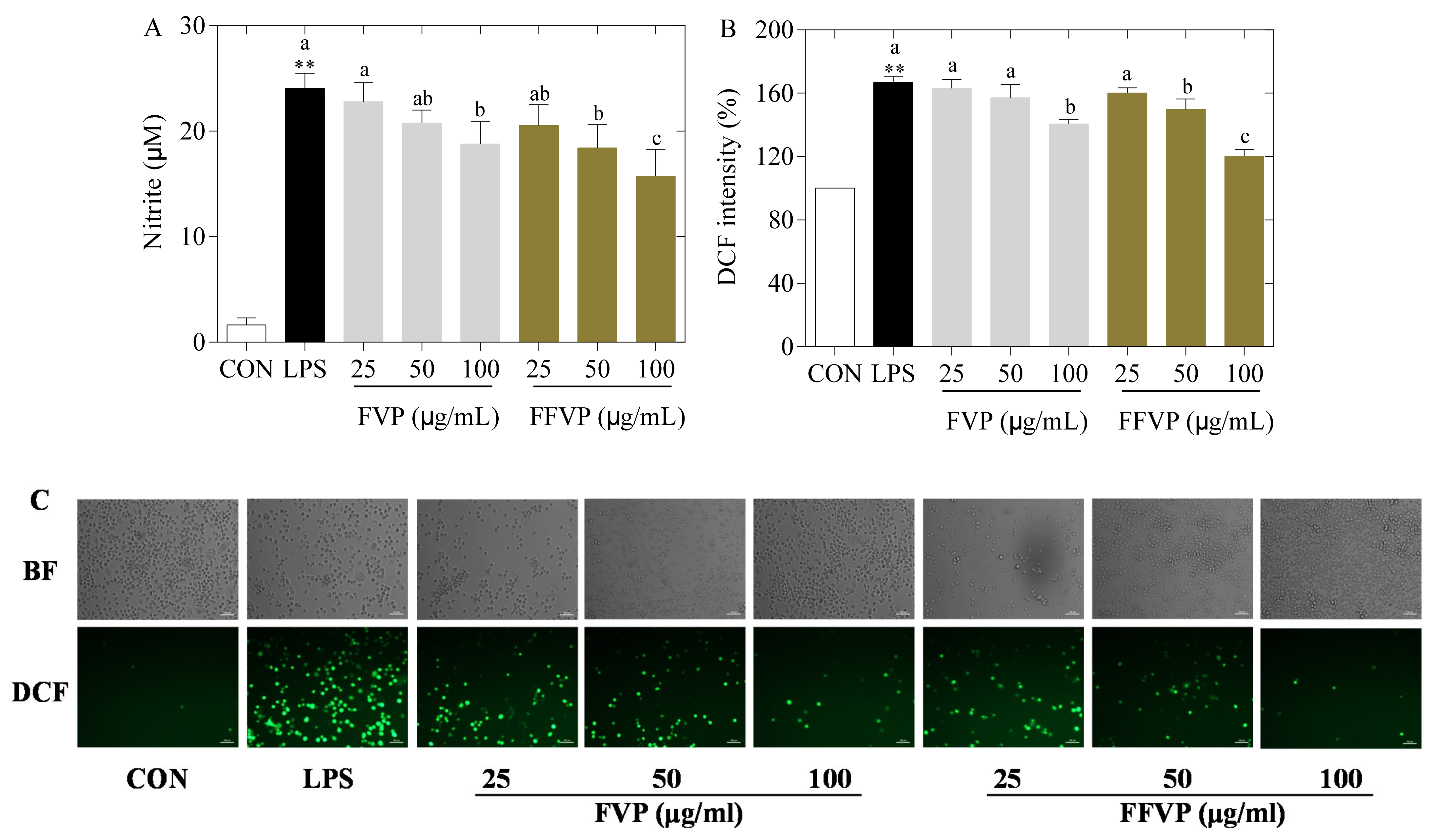 Molecules 26 06205 g005