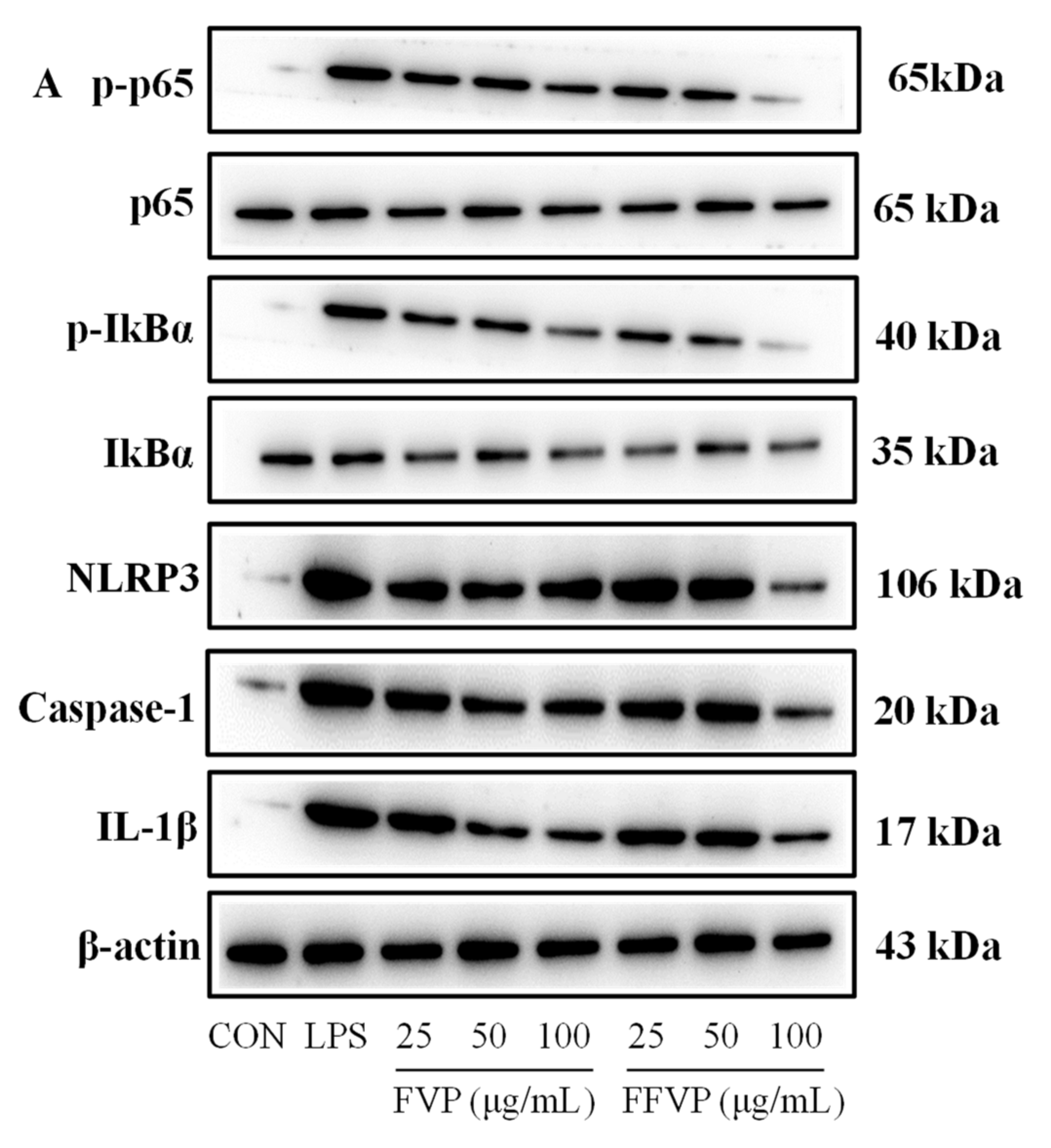 Molecules 26 06205 g010a
